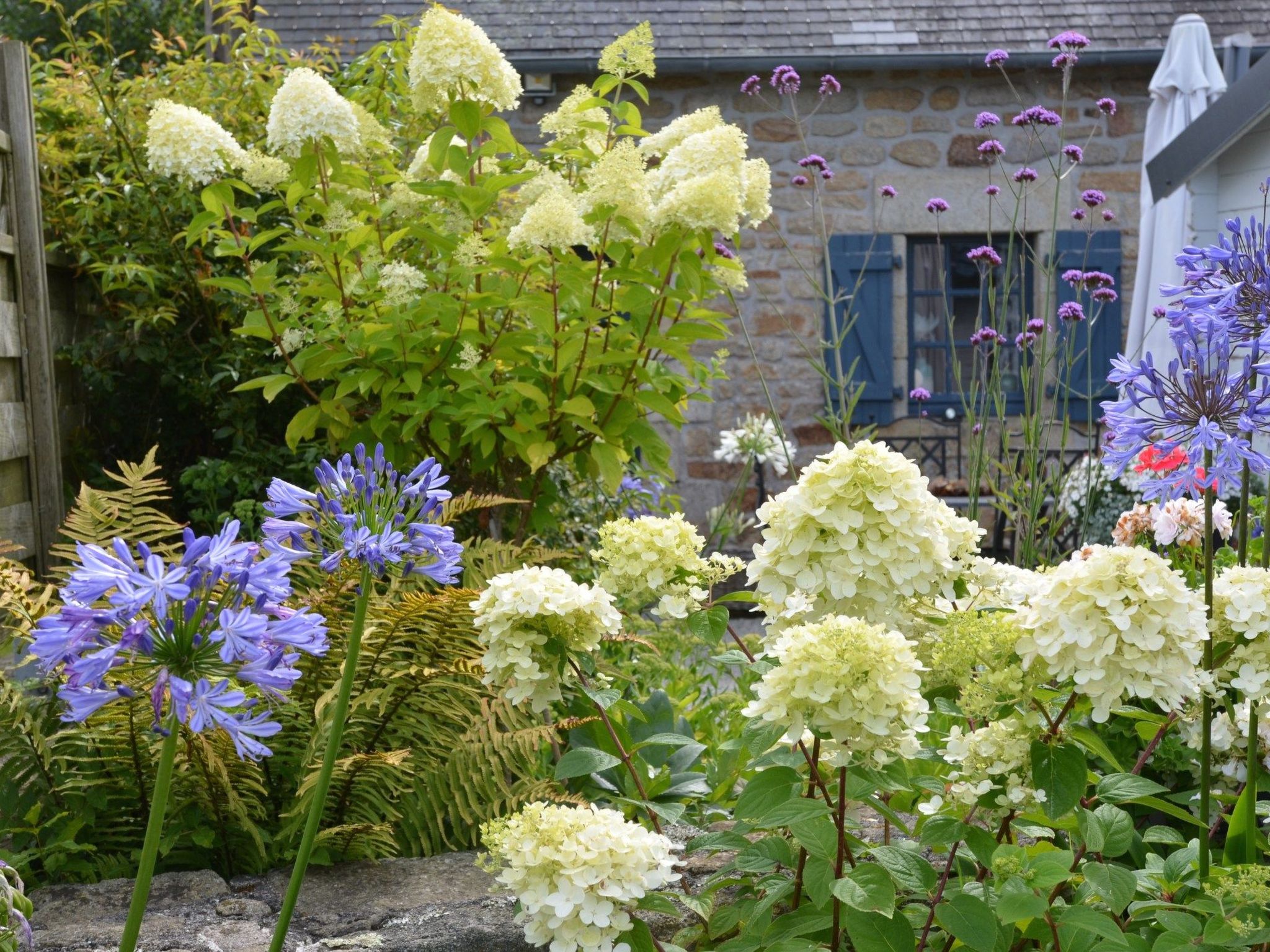 Mit eigenem Garten und Grill-Image-tags.info