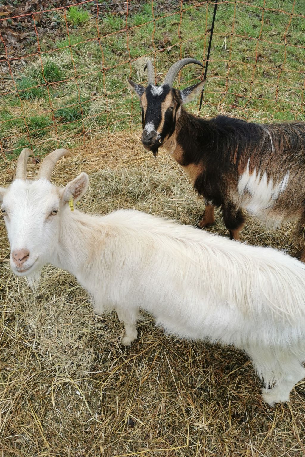 Pleine Nature in der Bretagne-Buiten