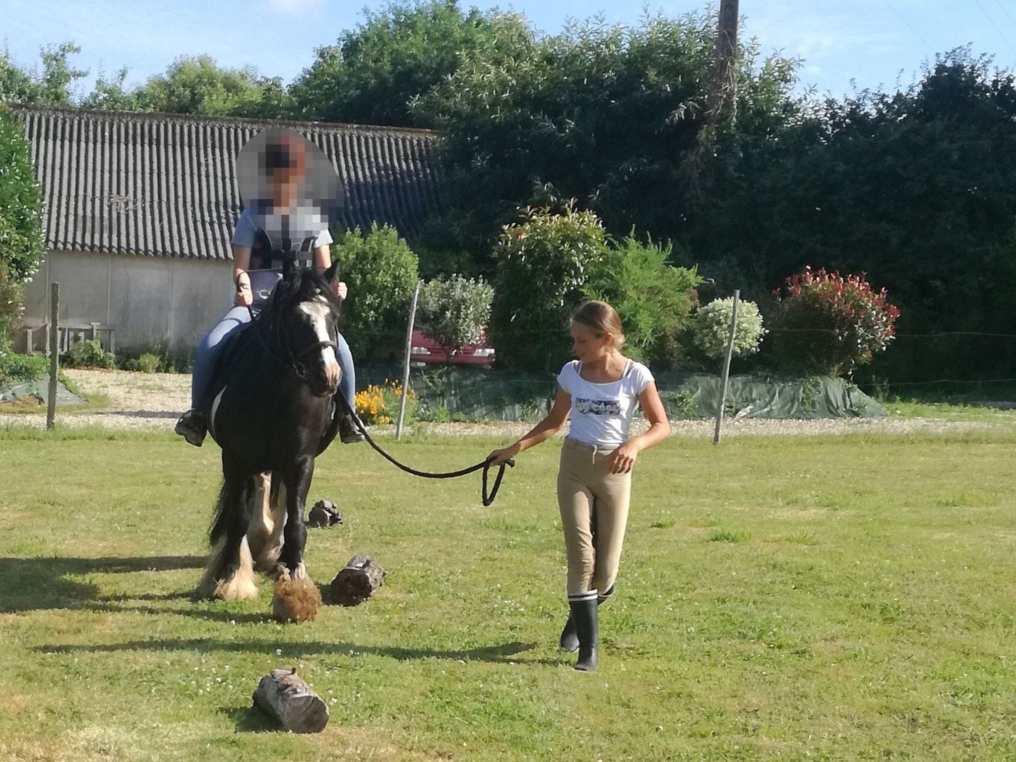 Pleine Nature in der Bretagne-Image-tags.info