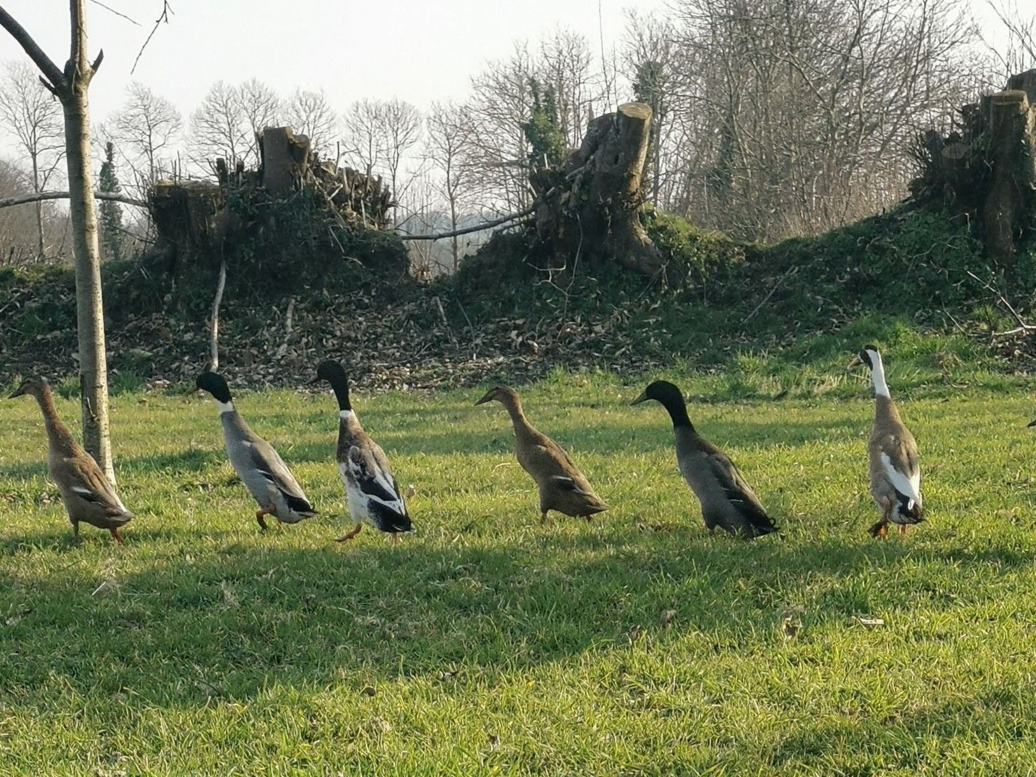 Pleine Nature in der Bretagne-Buiten