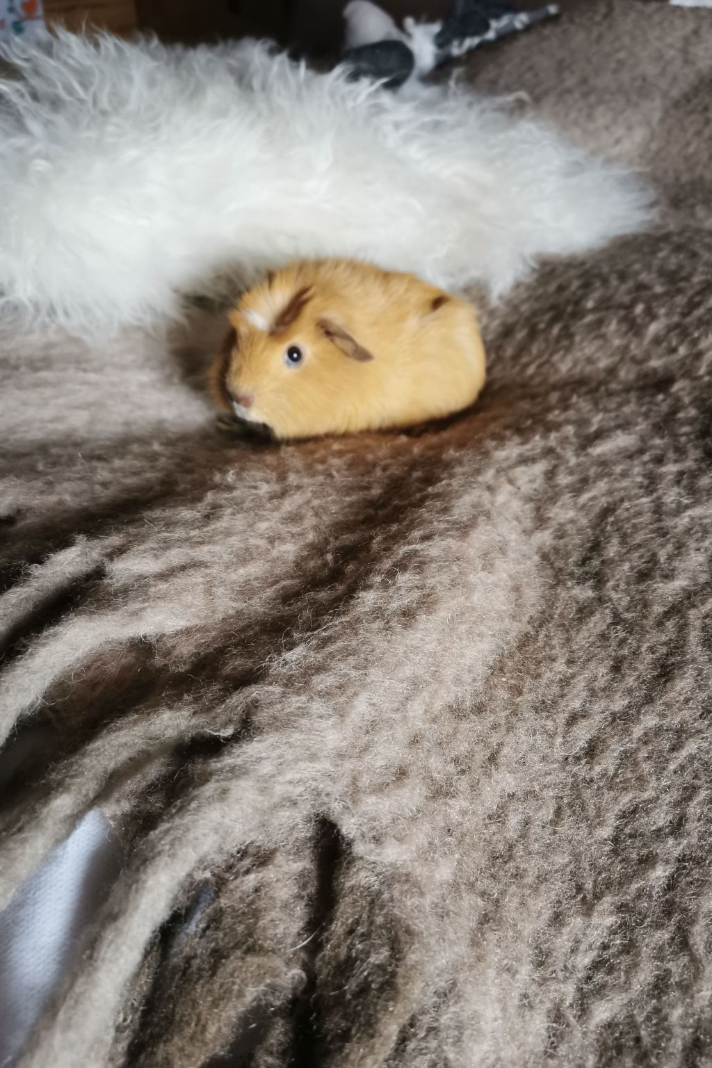 Pleine Nature in der Bretagne-Image-tags.info