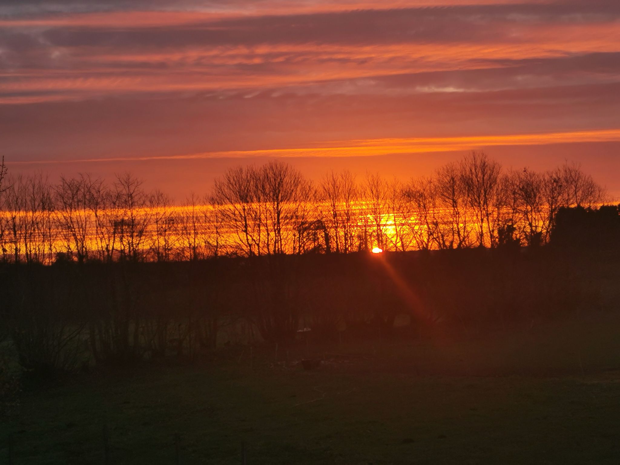 Pleine Nature in der Bretagne-Image-tags.info