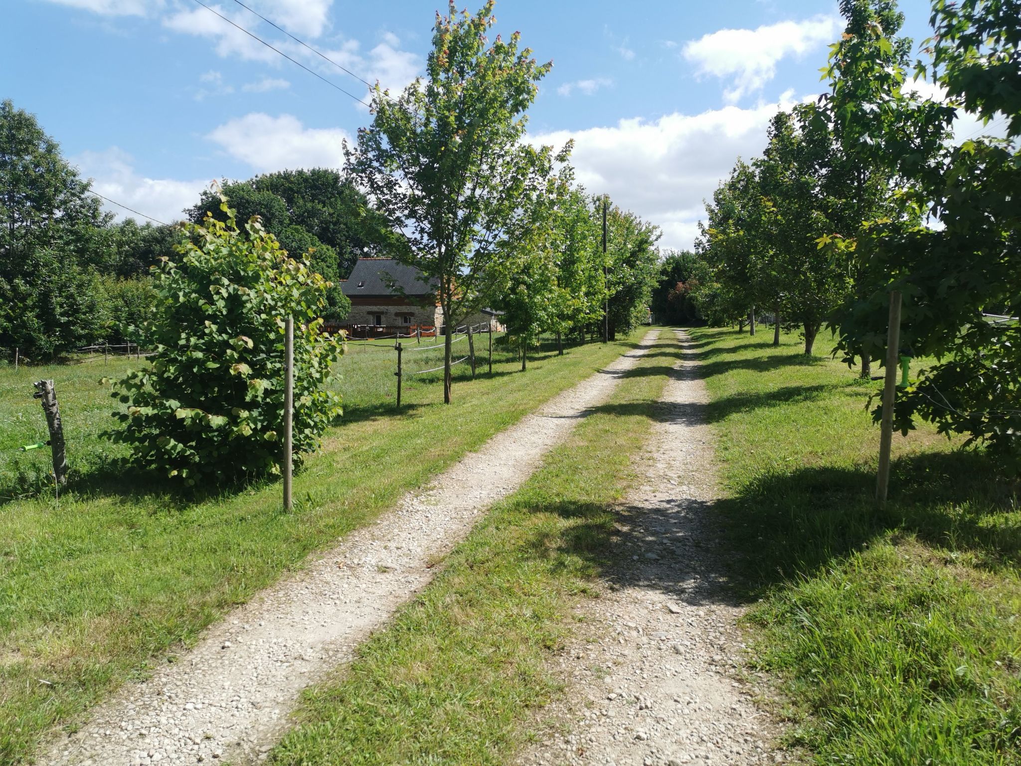 Pleine Nature in der Bretagne-Buiten