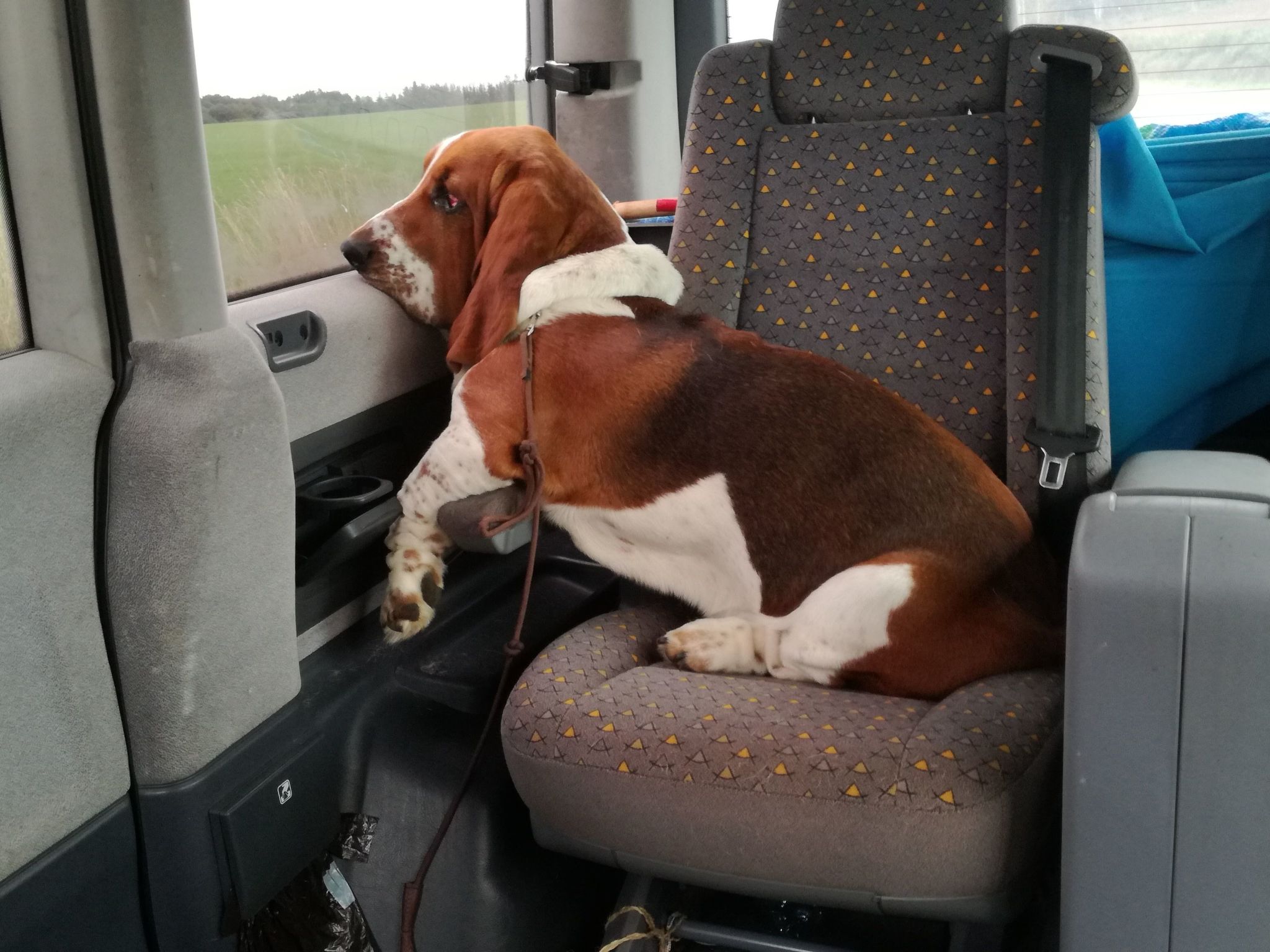 Pleine Nature in der Bretagne-Buiten