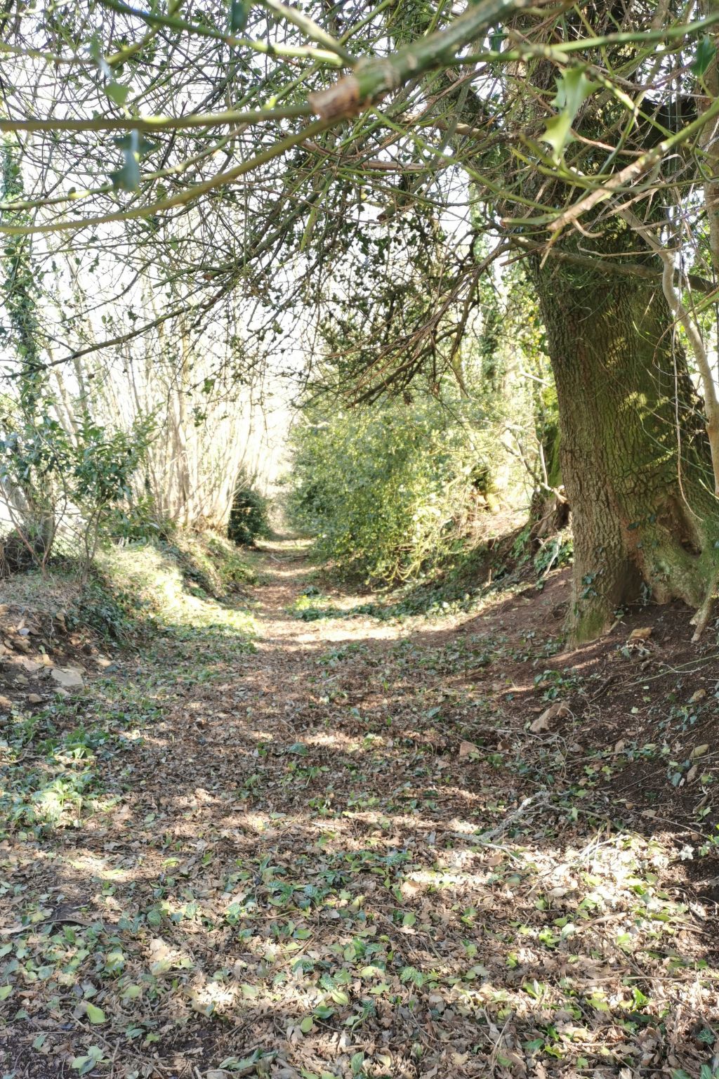 Pleine Nature in der Bretagne-Buiten
