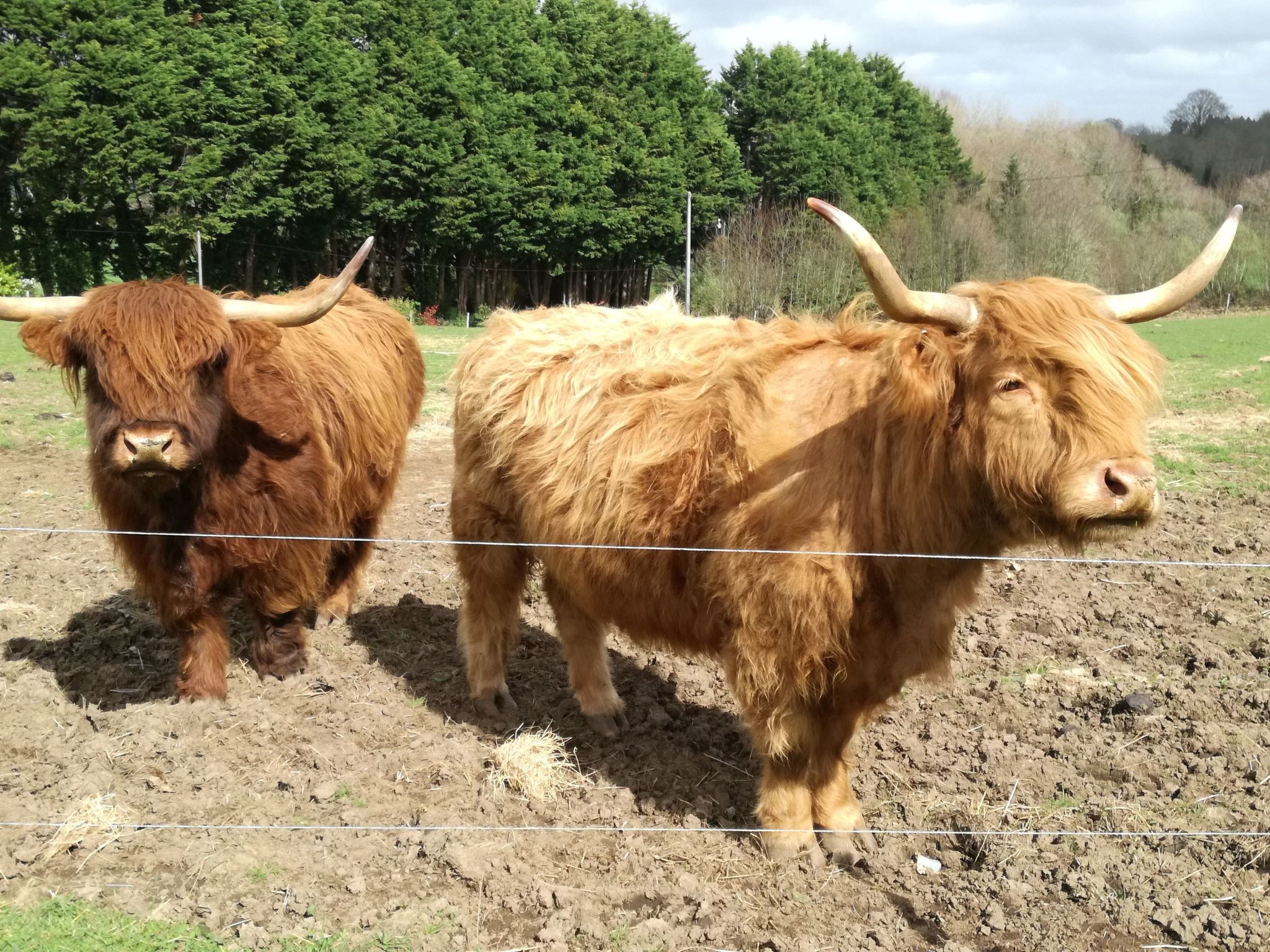 Pleine Nature in der Bretagne-Buiten