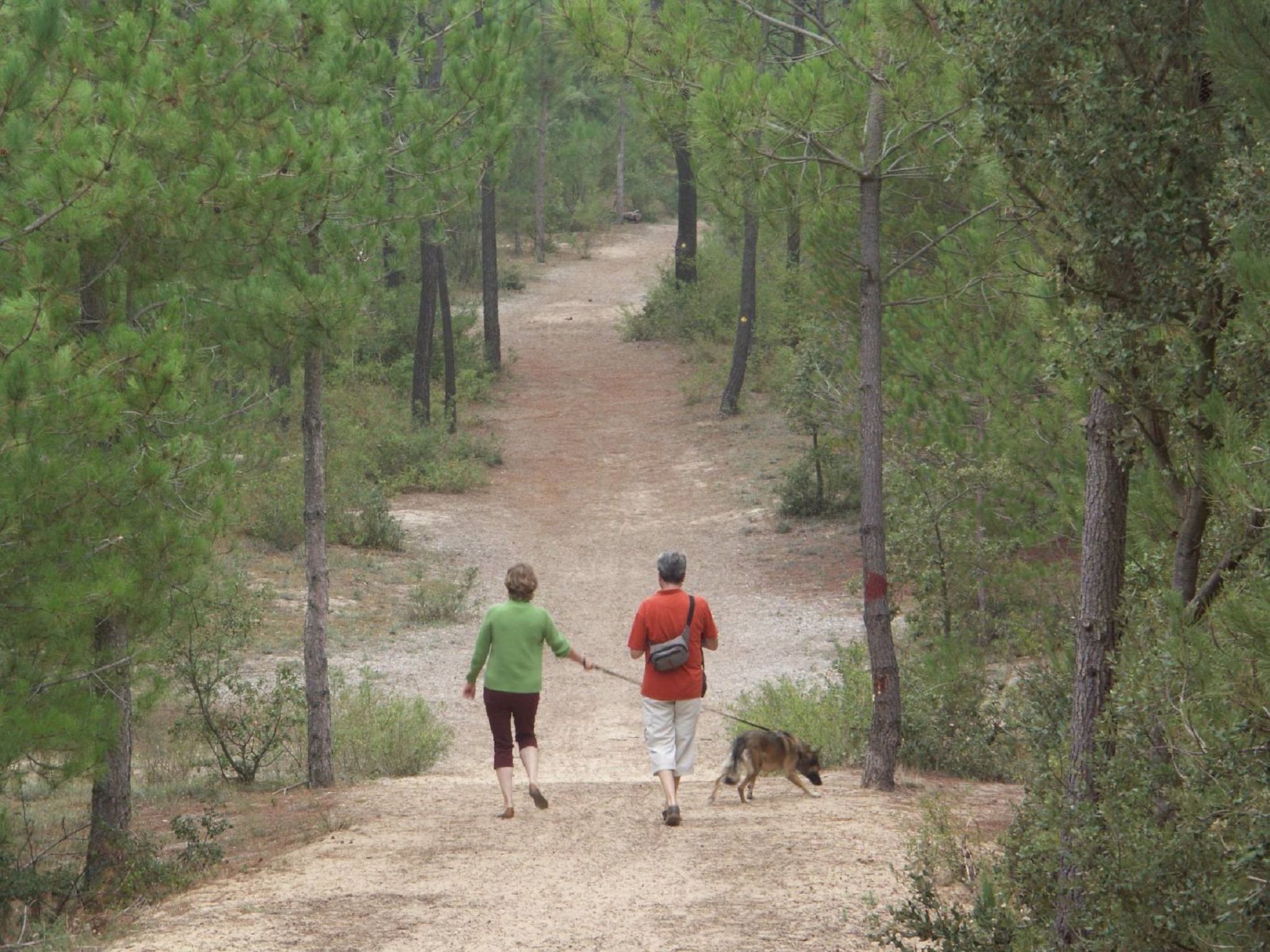 APPARTEMENT GRAND BALCON FACE MER WIFI GRATUIT-Binnen