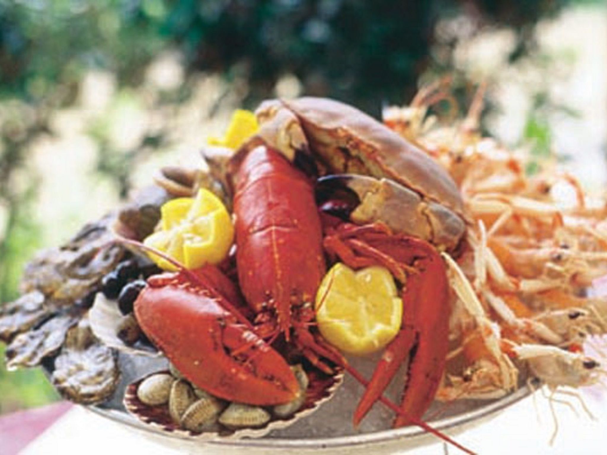 APPARTEMENT GRAND BALCON FACE MER WIFI GRATUIT-Binnen