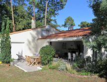 Les Narcisses (RBL200)