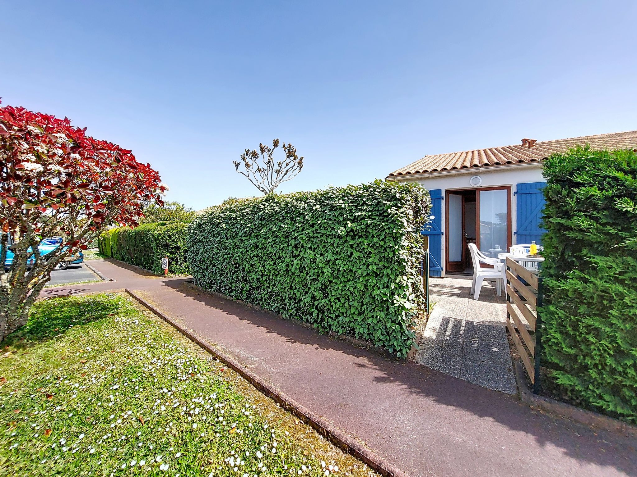 Photo of Bois Soleil