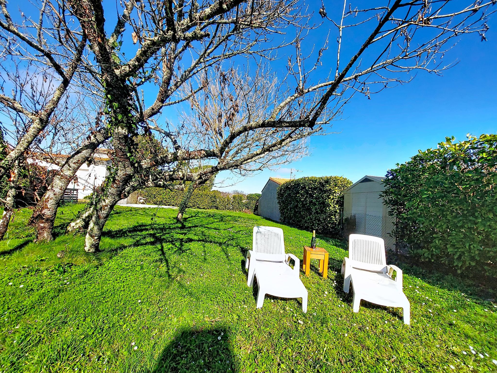 Photo of Les Hêtres