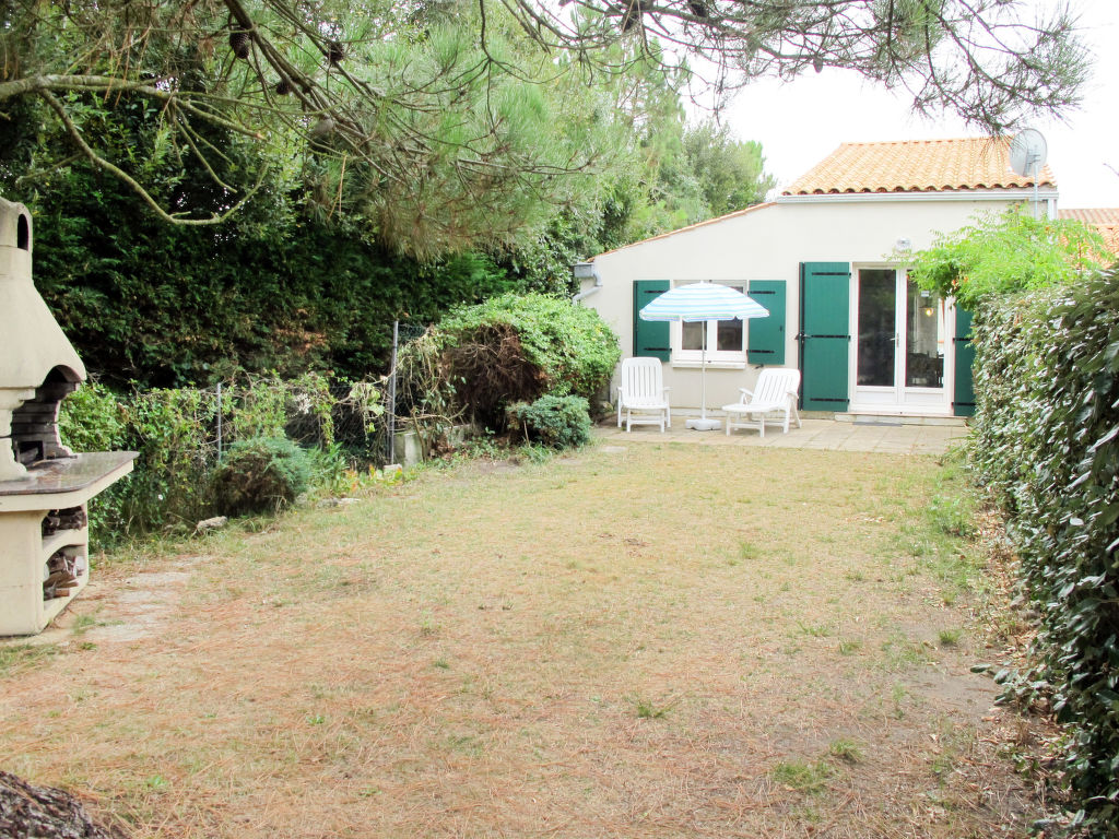 Bild 15