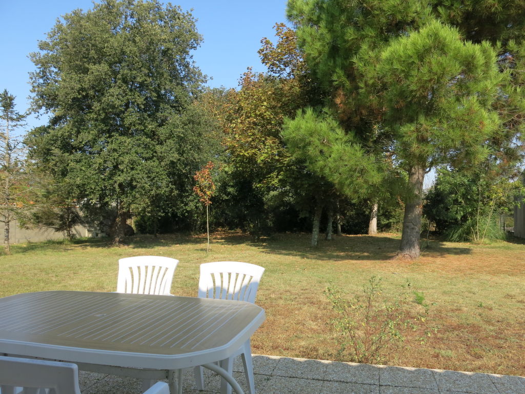 Bild 12