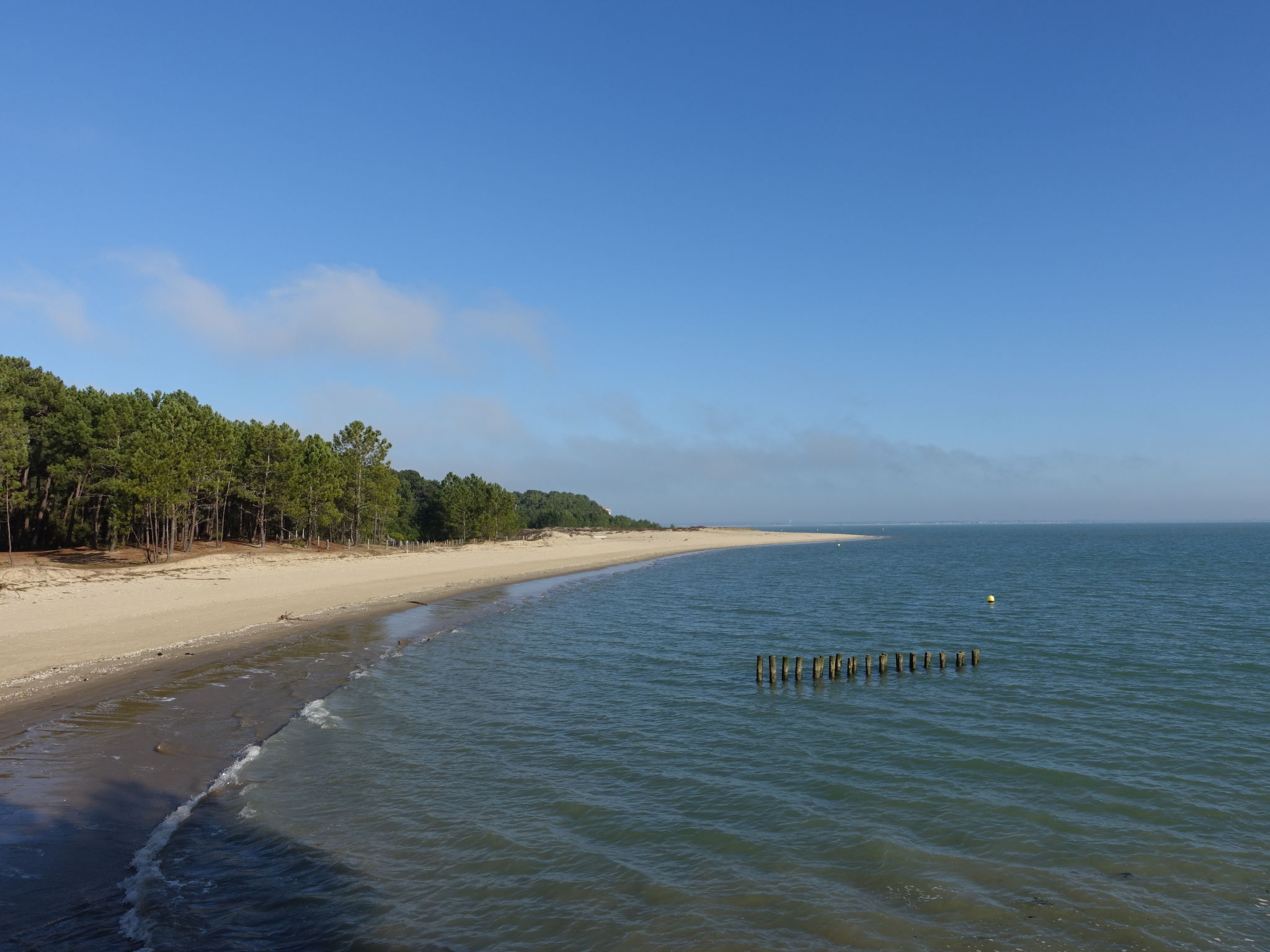 Les Bains d'Oléron 2 - Omgeving