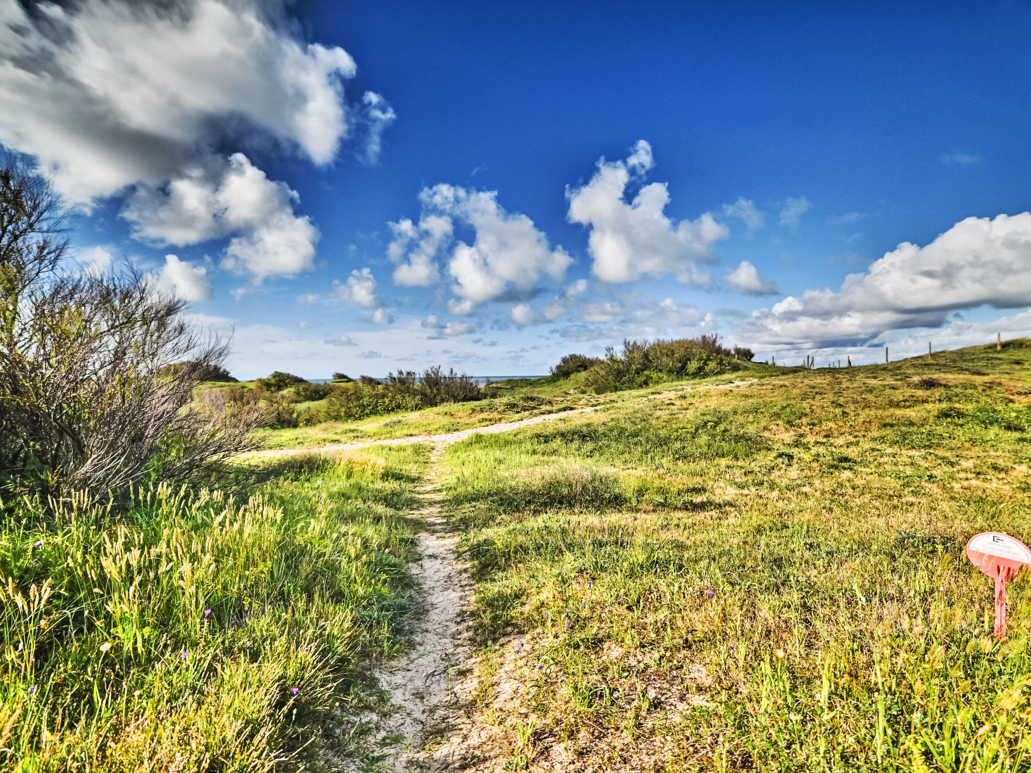 Photo of Les Cariatides 6