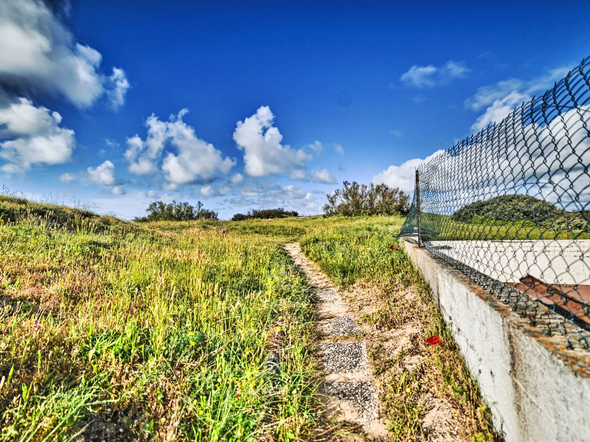 Photo of Les Cariatides 7