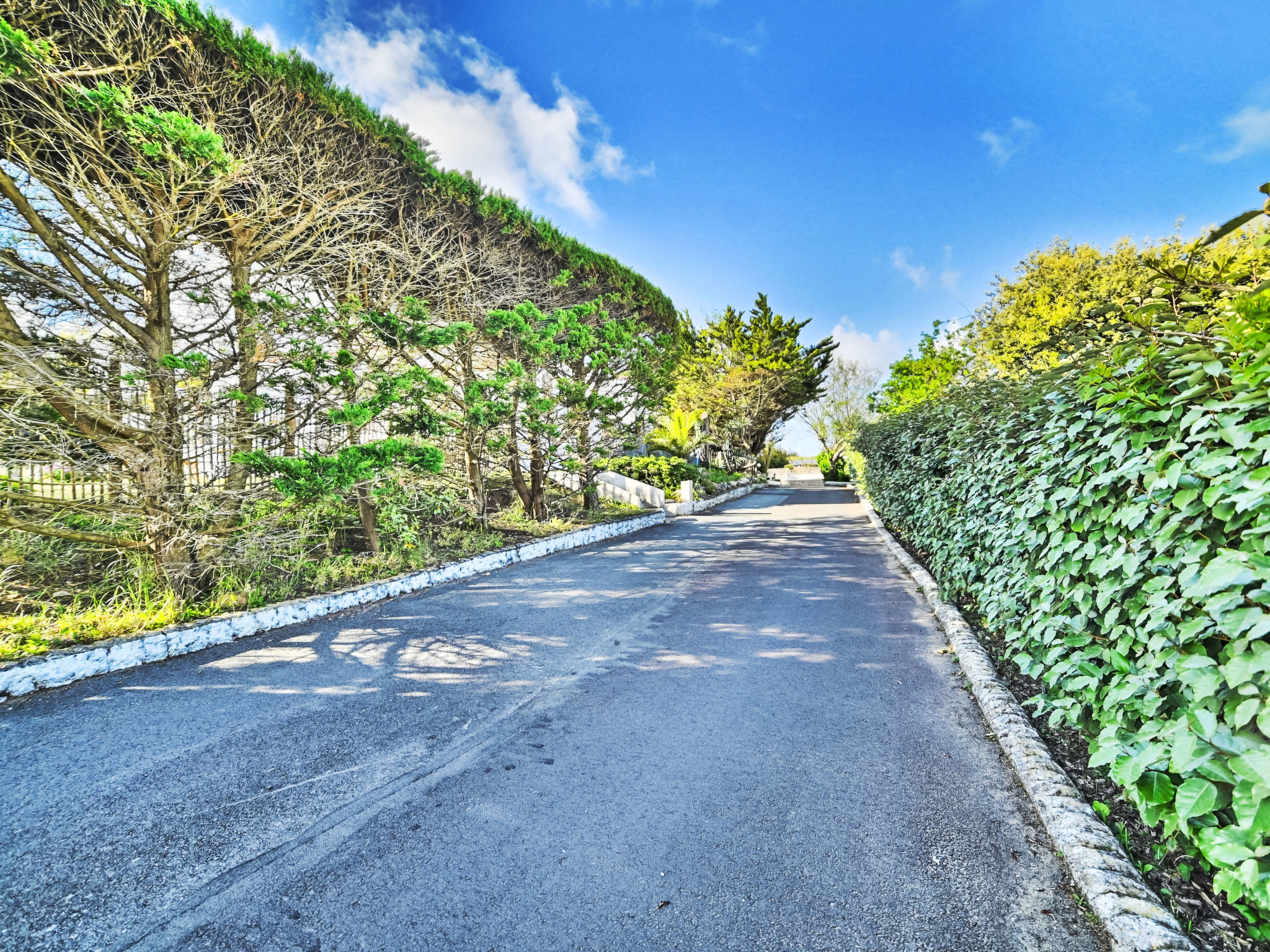 Photo of Les Cariatides 7