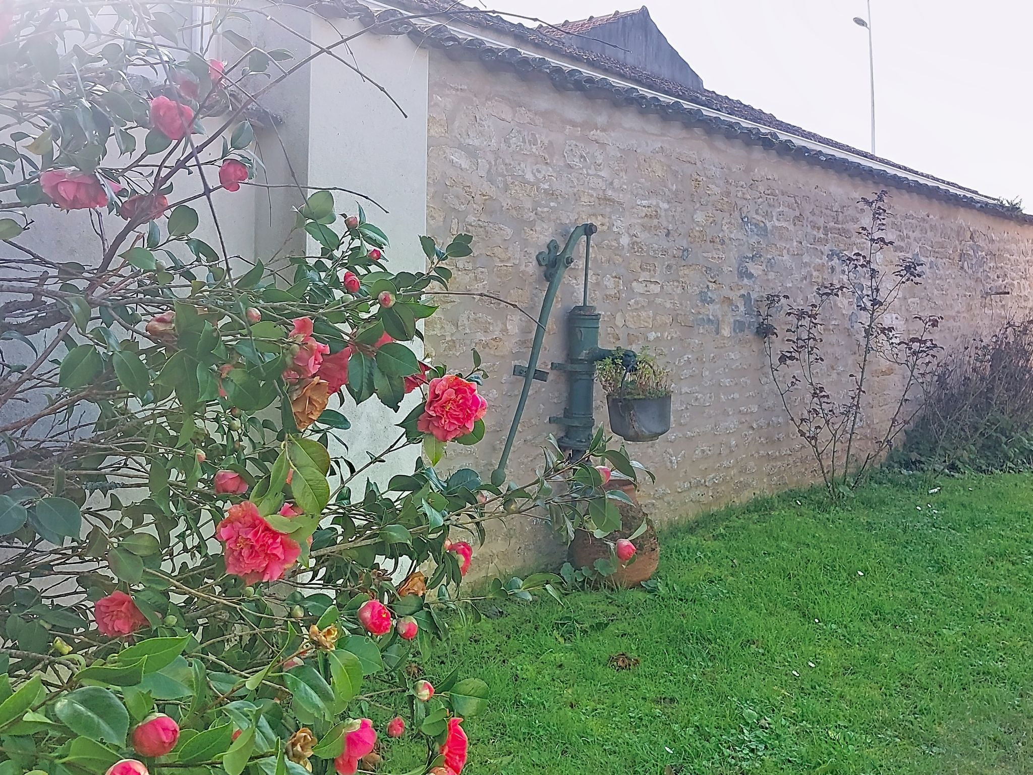 Photo of Le Château 3