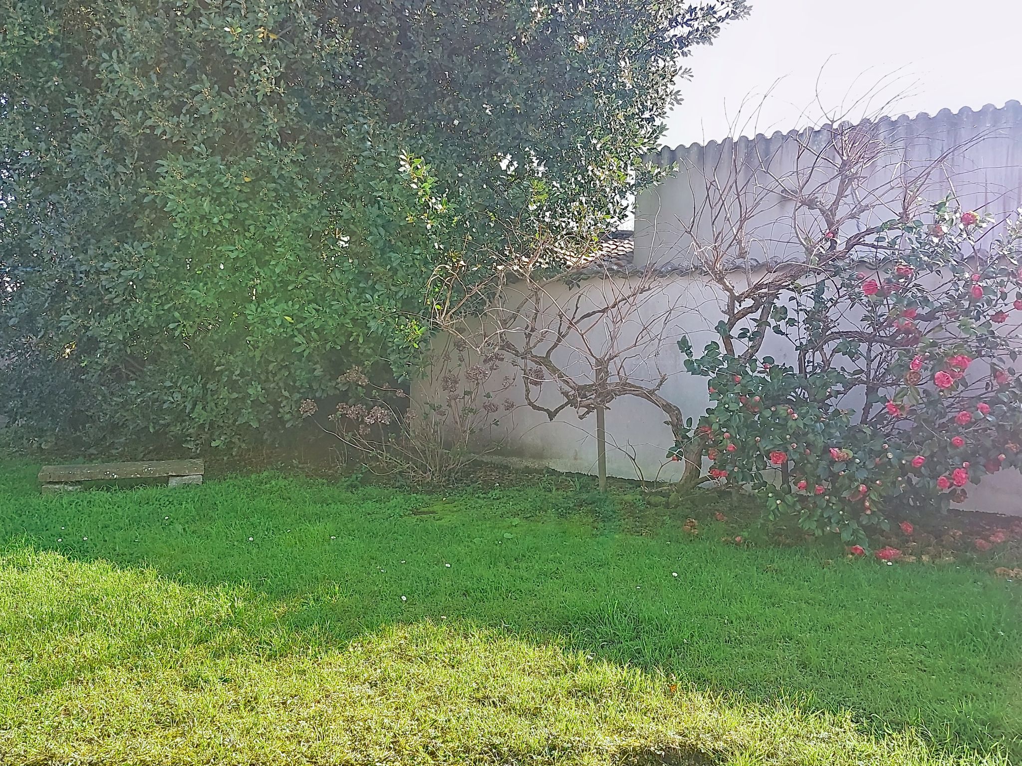 Photo of Le Château 3