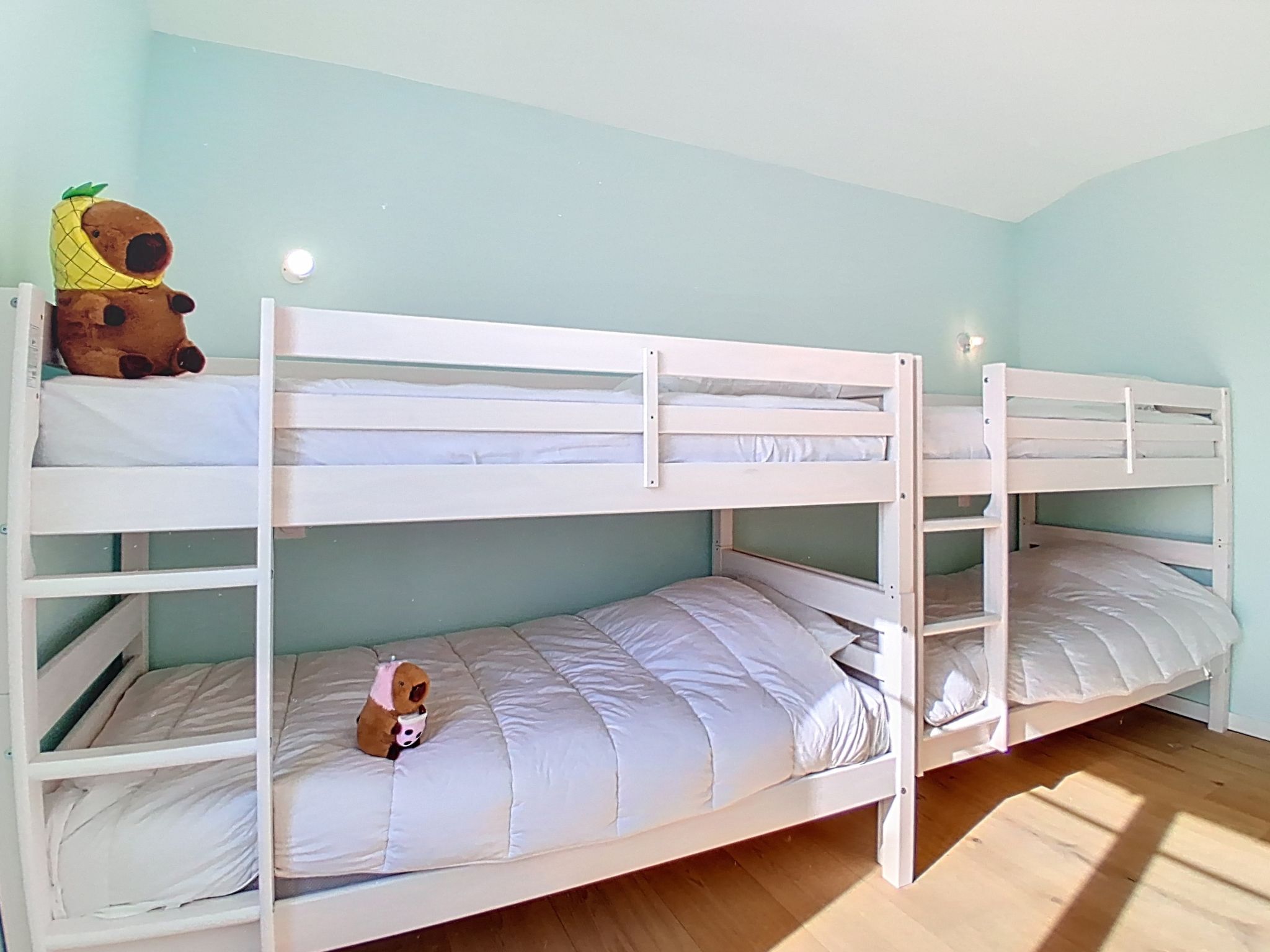 Photo of Saint Denis 2