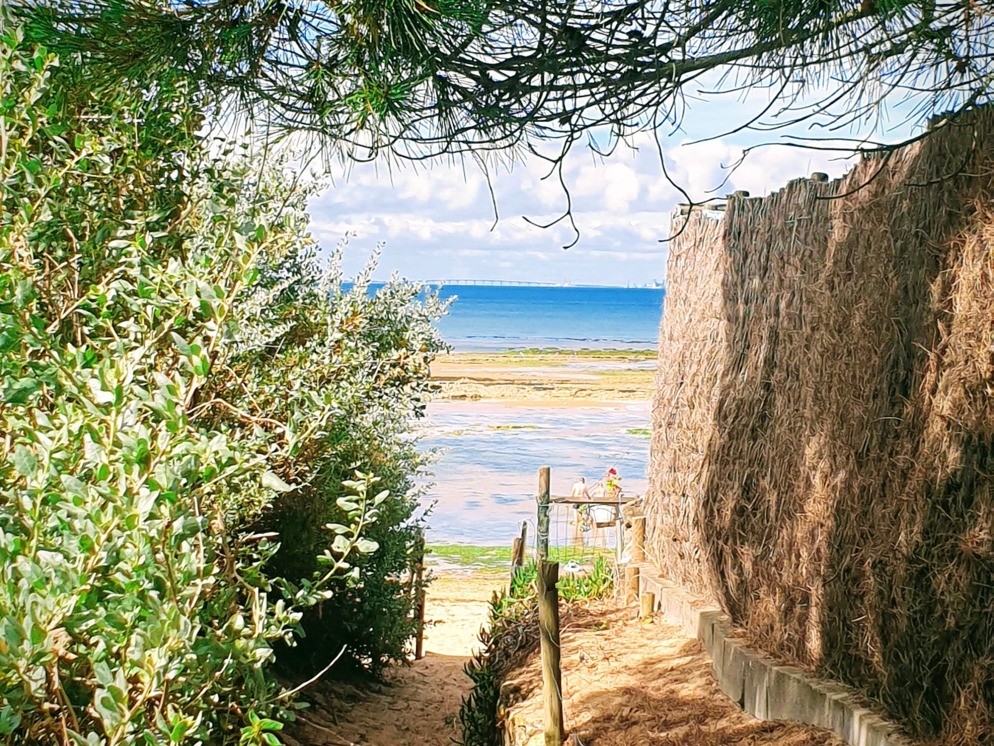 La Brée 3 Accommodation in Ile d'Oleron