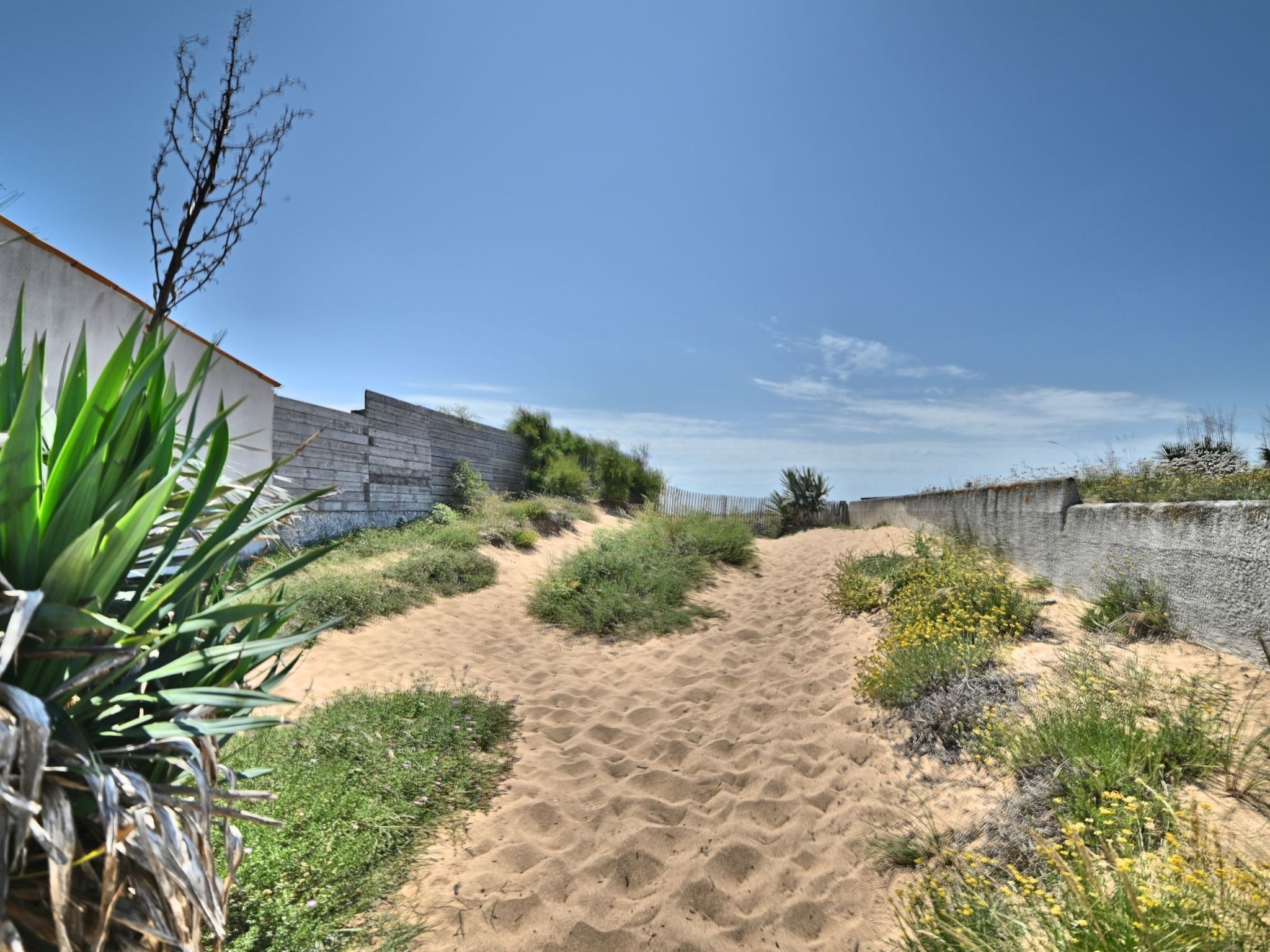 Photo of Horizon 2