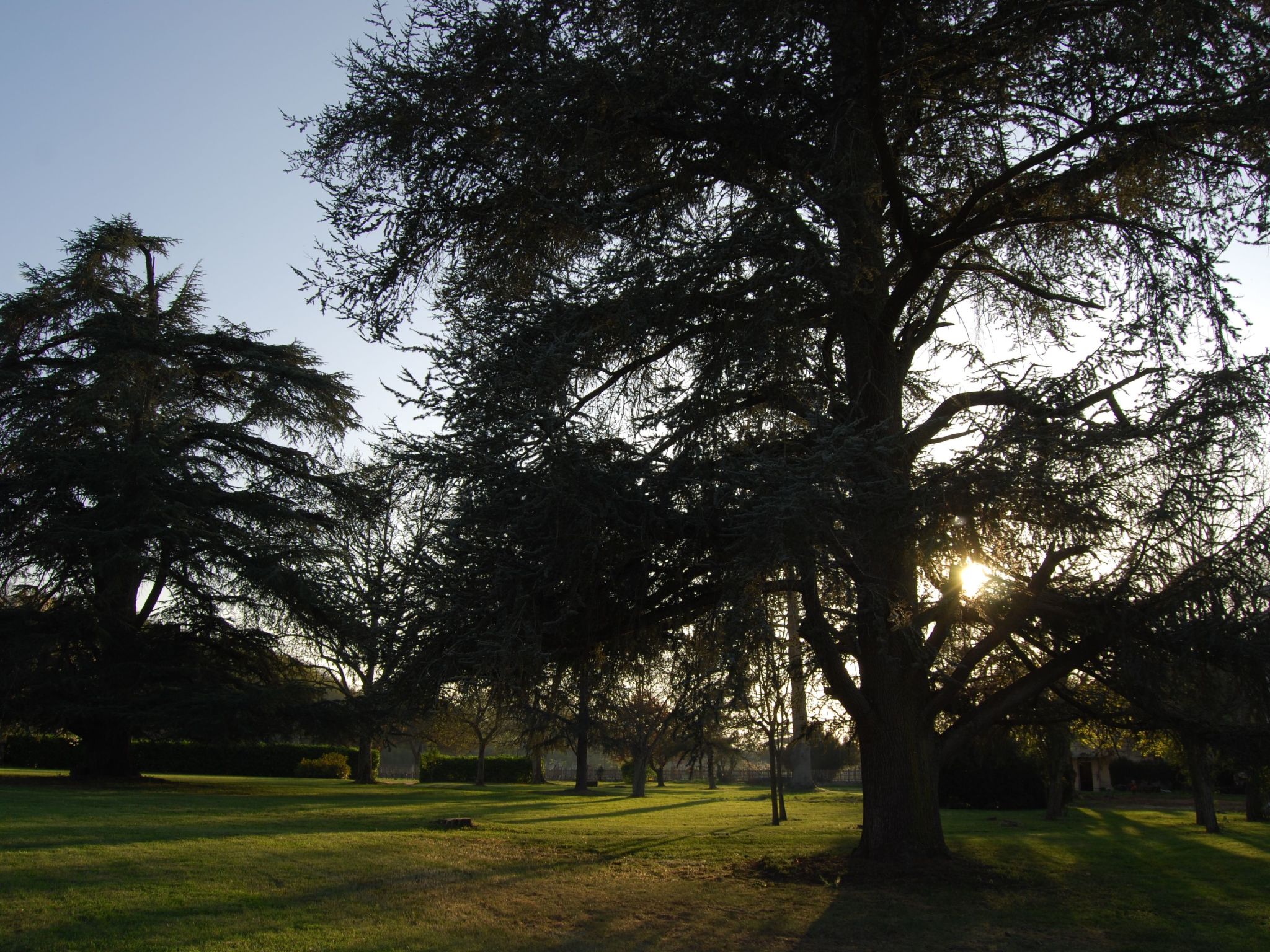 Schloss mit Überlaufpool an der Dordogne-Binnen