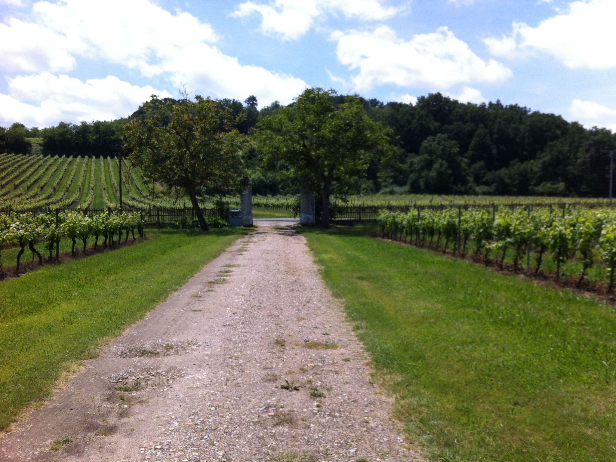 Schloss mit Überlaufpool an der Dordogne-Binnen
