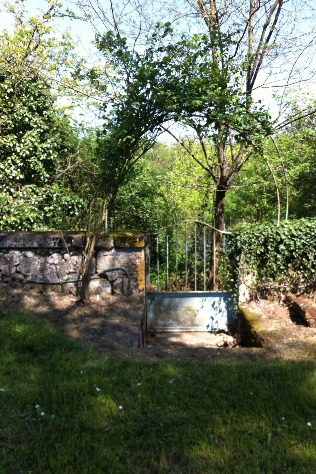 Schloss mit Überlaufpool an der Dordogne-Binnen