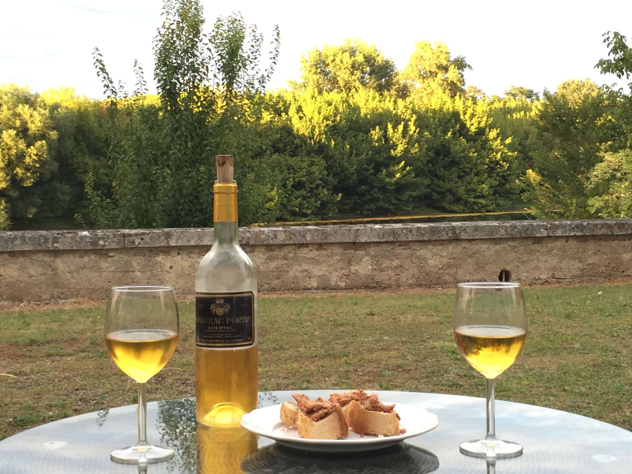 Schloss mit Überlaufpool an der Dordogne-Binnen