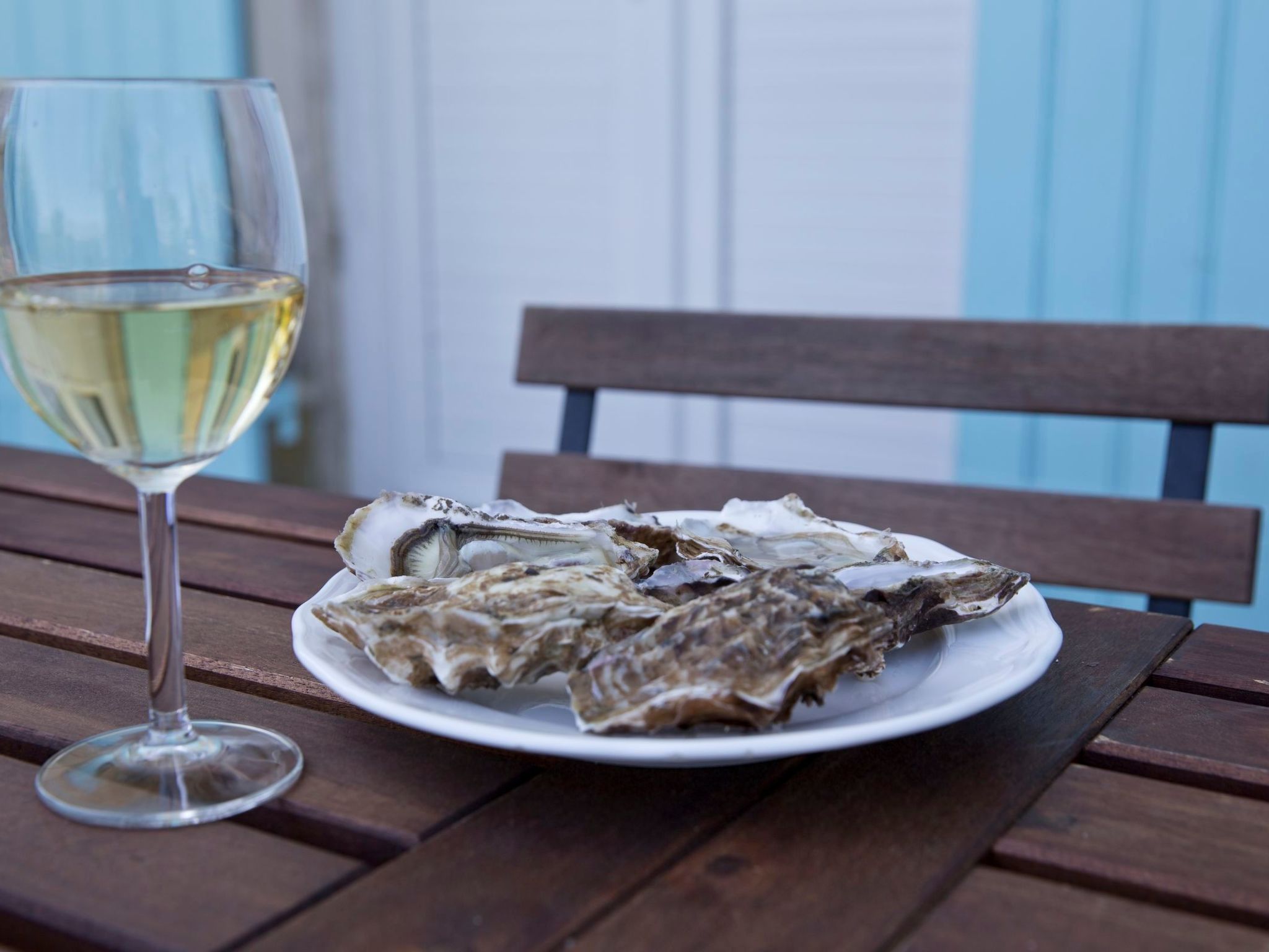 Schloss mit Überlaufpool an der Dordogne-Binnen