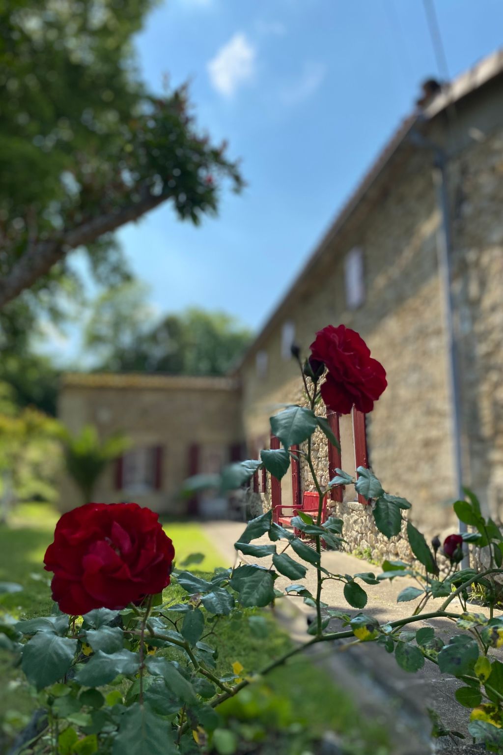 Vakantiehuis in Pujols (Frankrijk) 1 hond is welkom