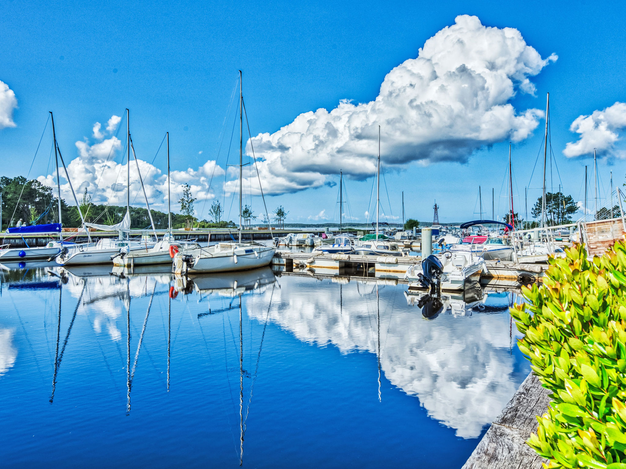 Hibiscus 10 - Umgebung