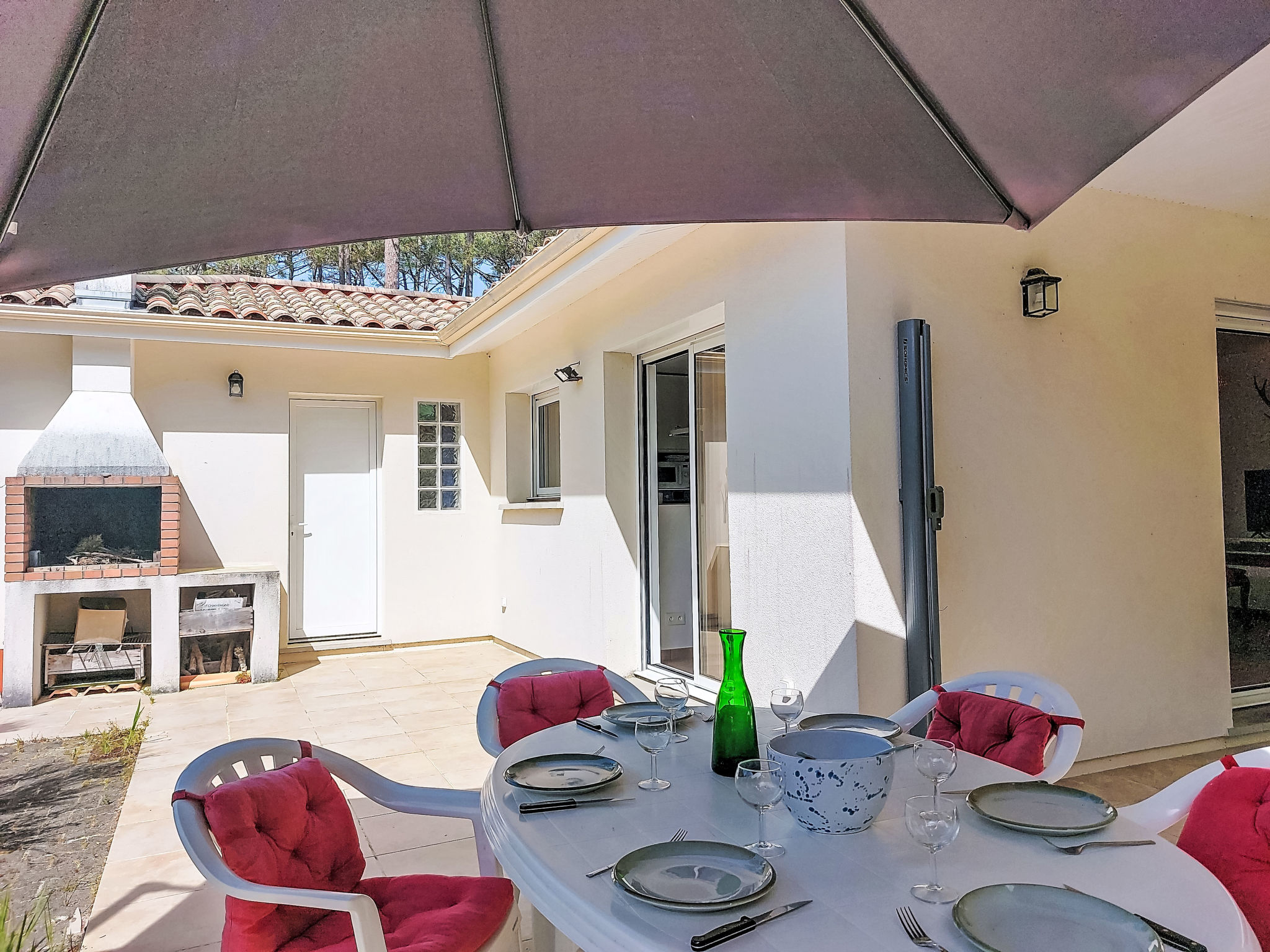 Hibiscus 10 - Draußen