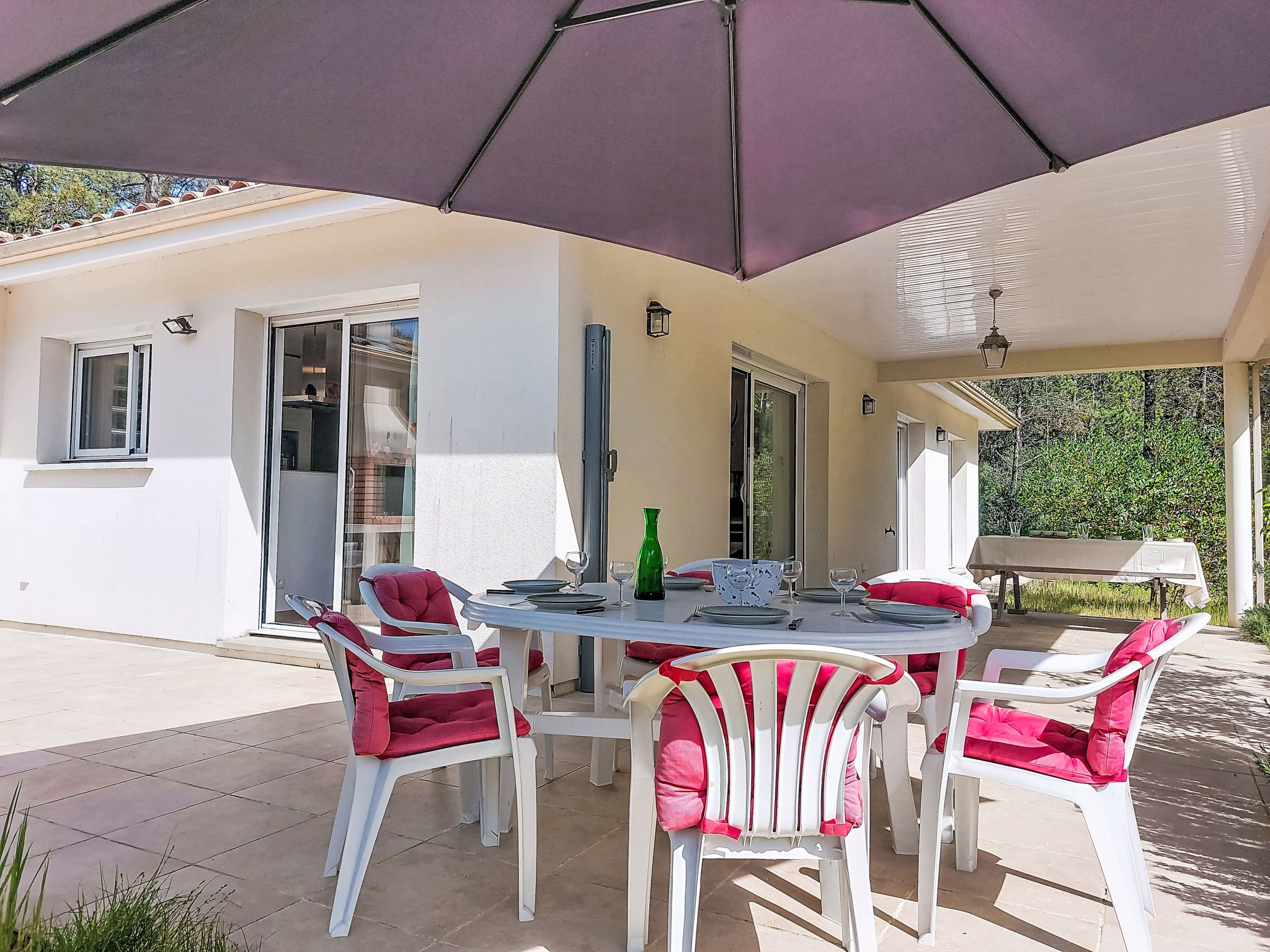 Hibiscus 10 - Draußen