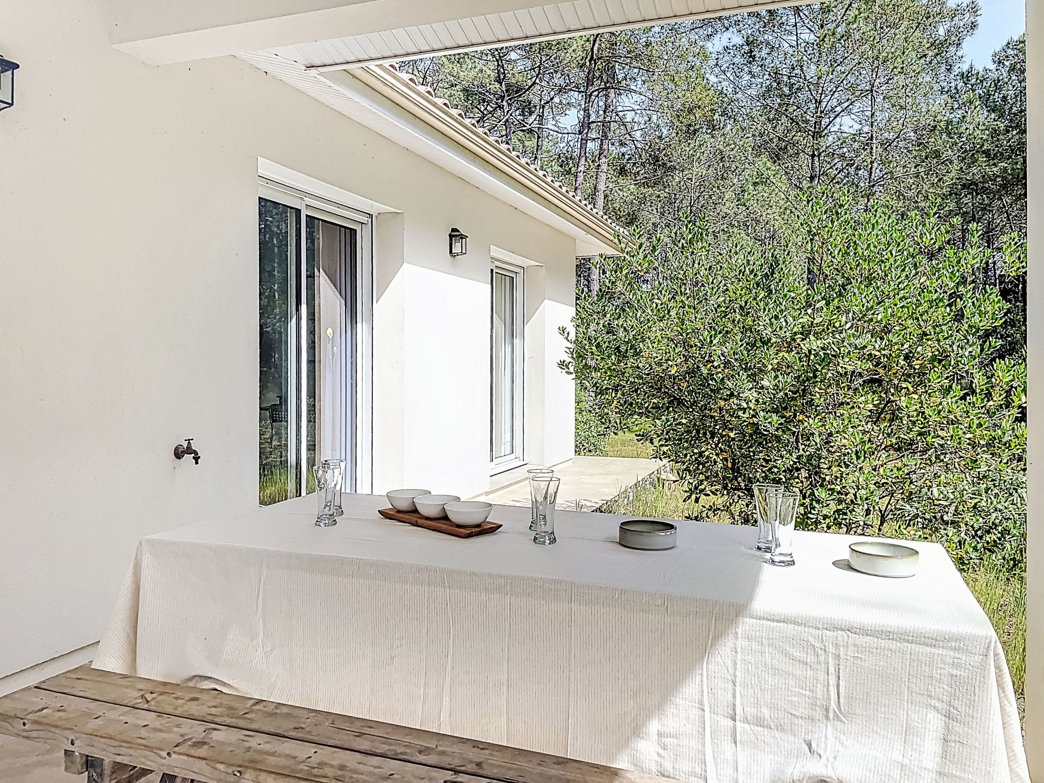 Hibiscus 10 - Draußen