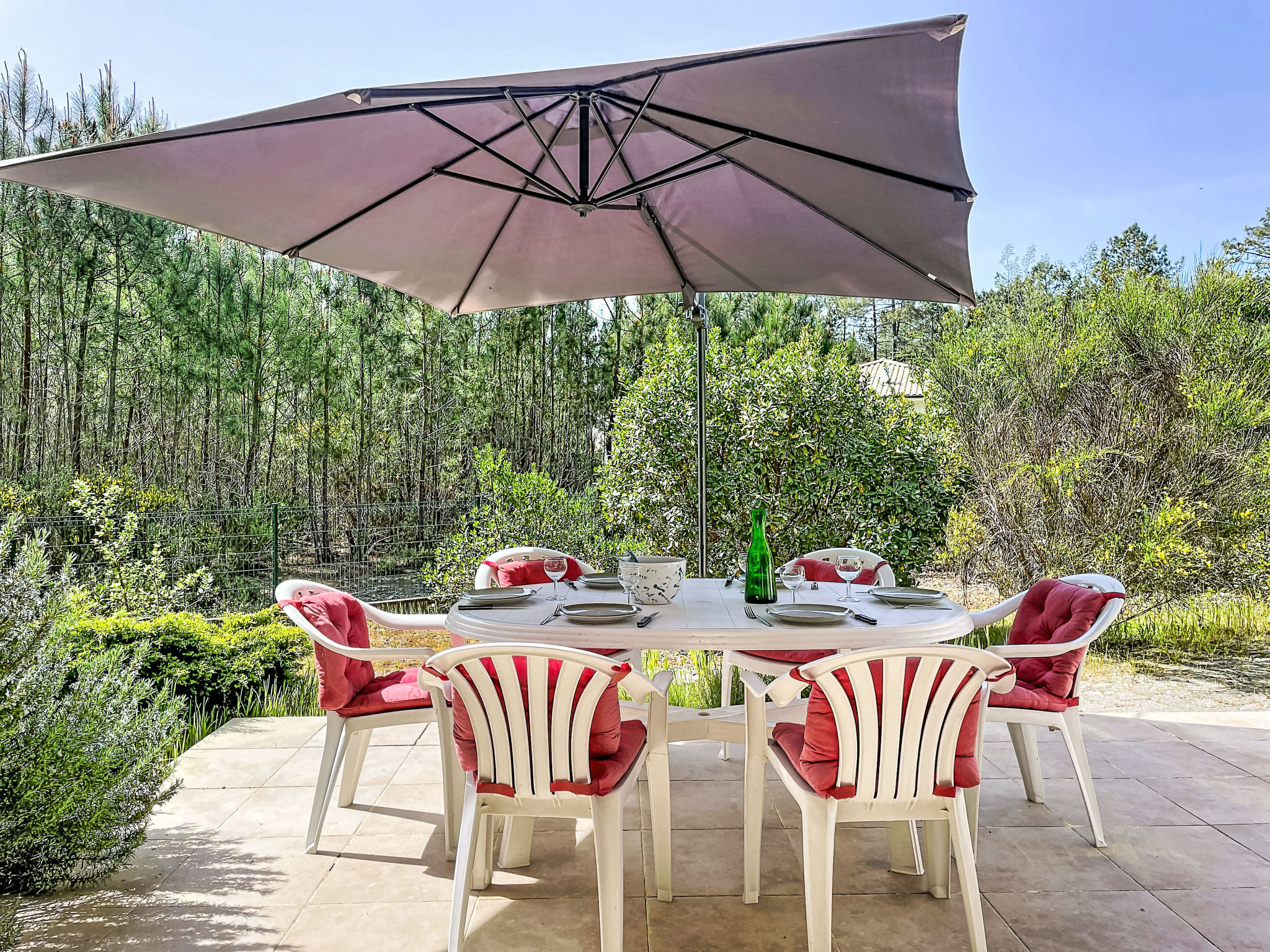 Hibiscus 10 - Draußen