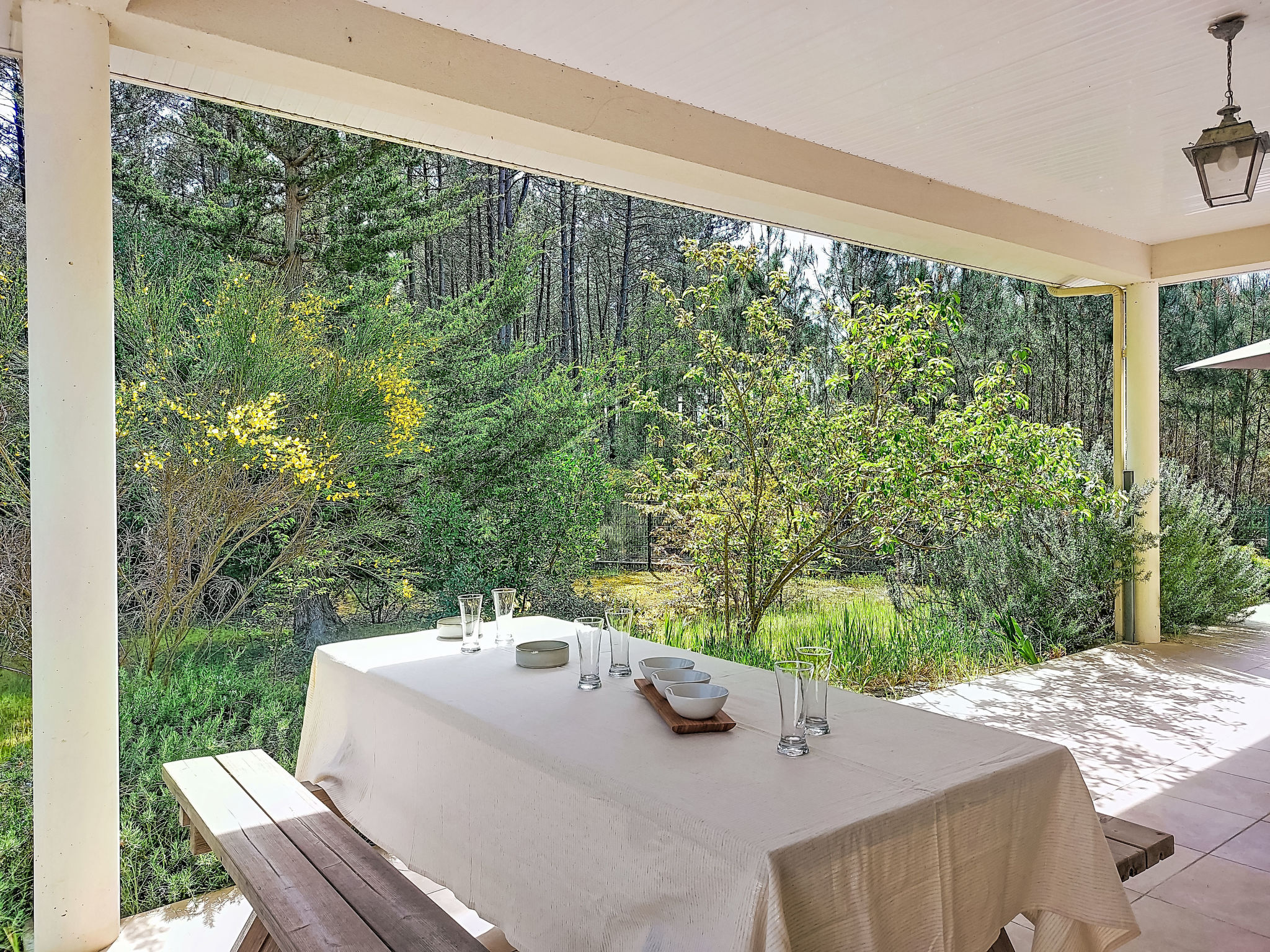 Hibiscus 10 - Draußen