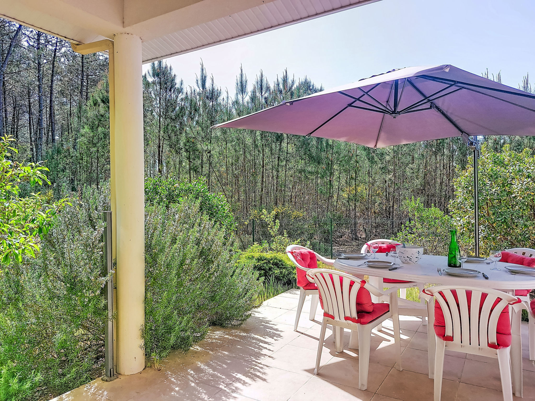 Hibiscus 10 - Draußen