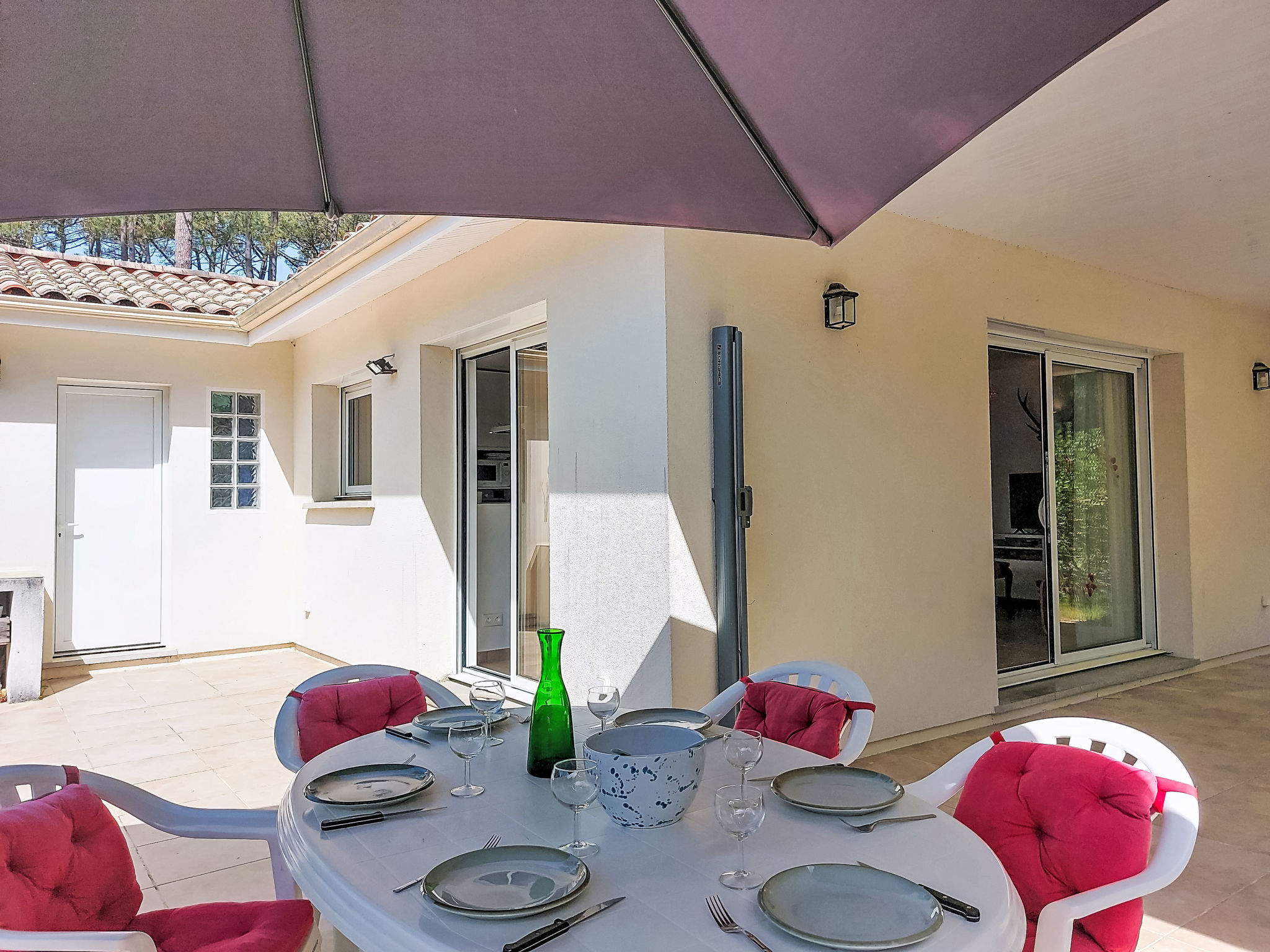 Hibiscus 10 - Draußen