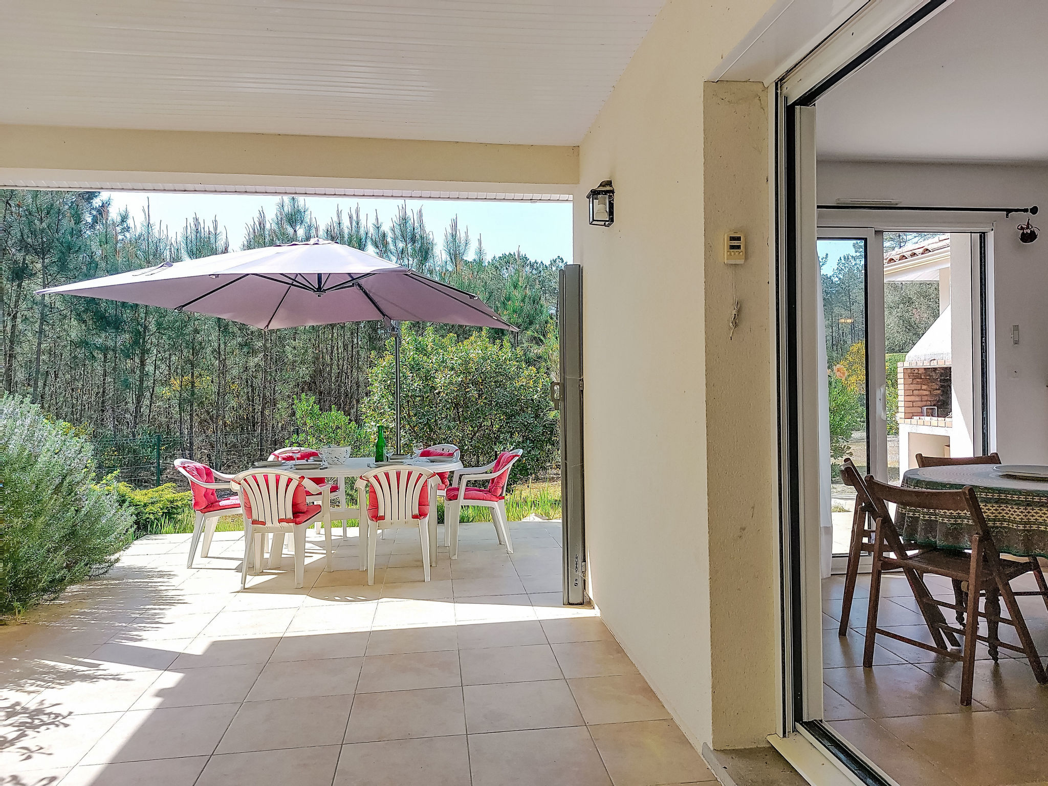 Hibiscus 10 - Draußen