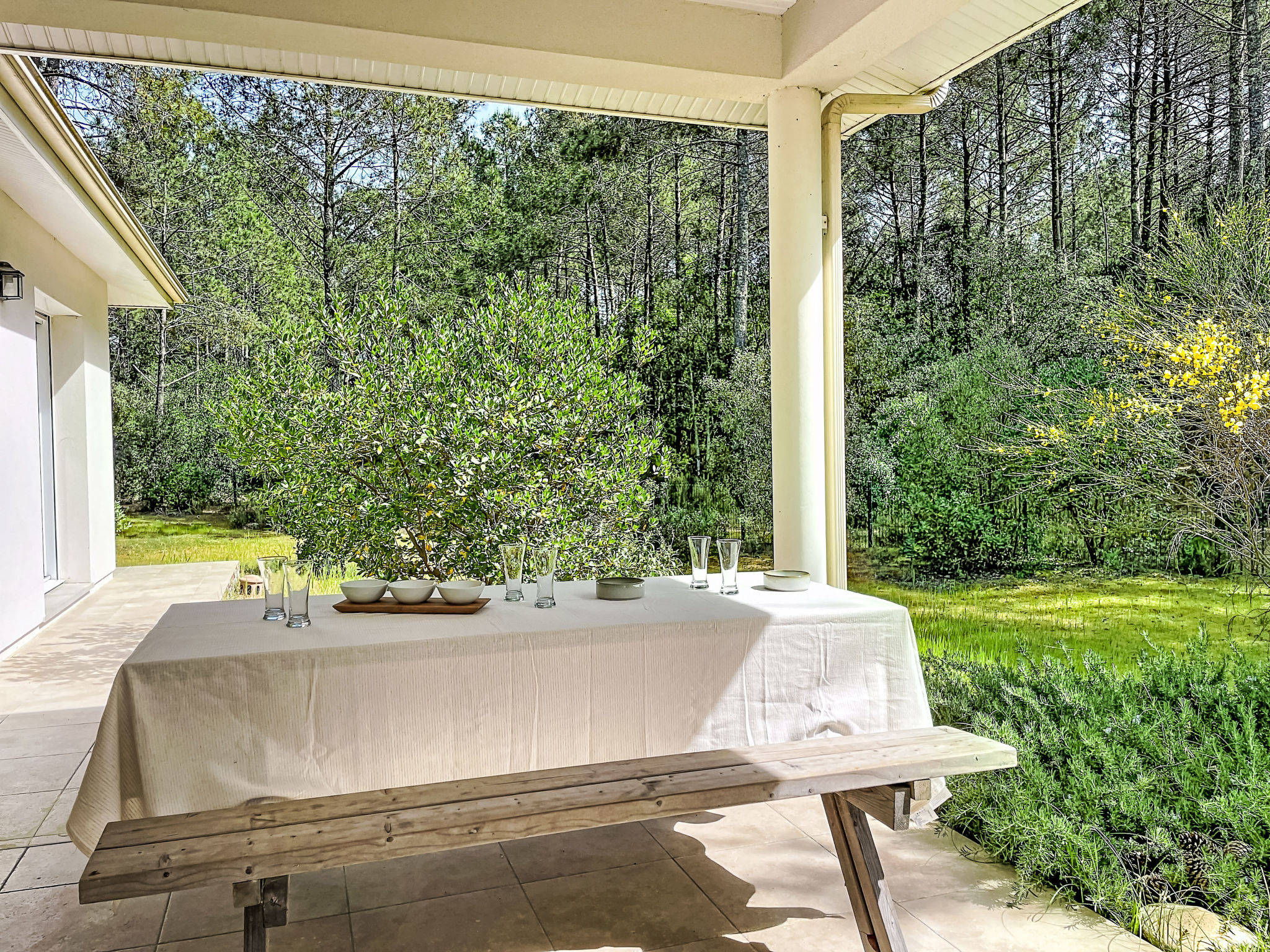 Hibiscus 10 - Draußen