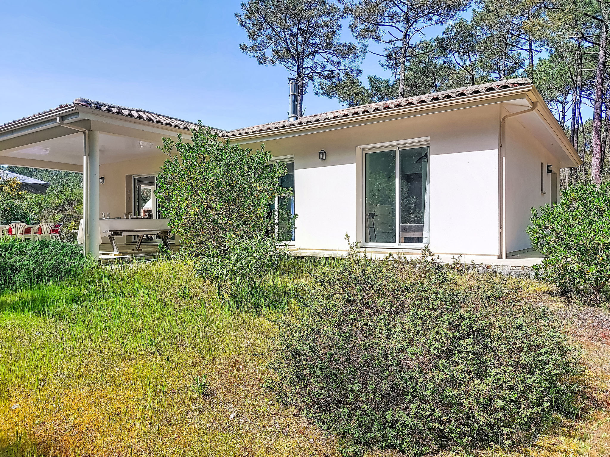 Hibiscus 10 - Draußen