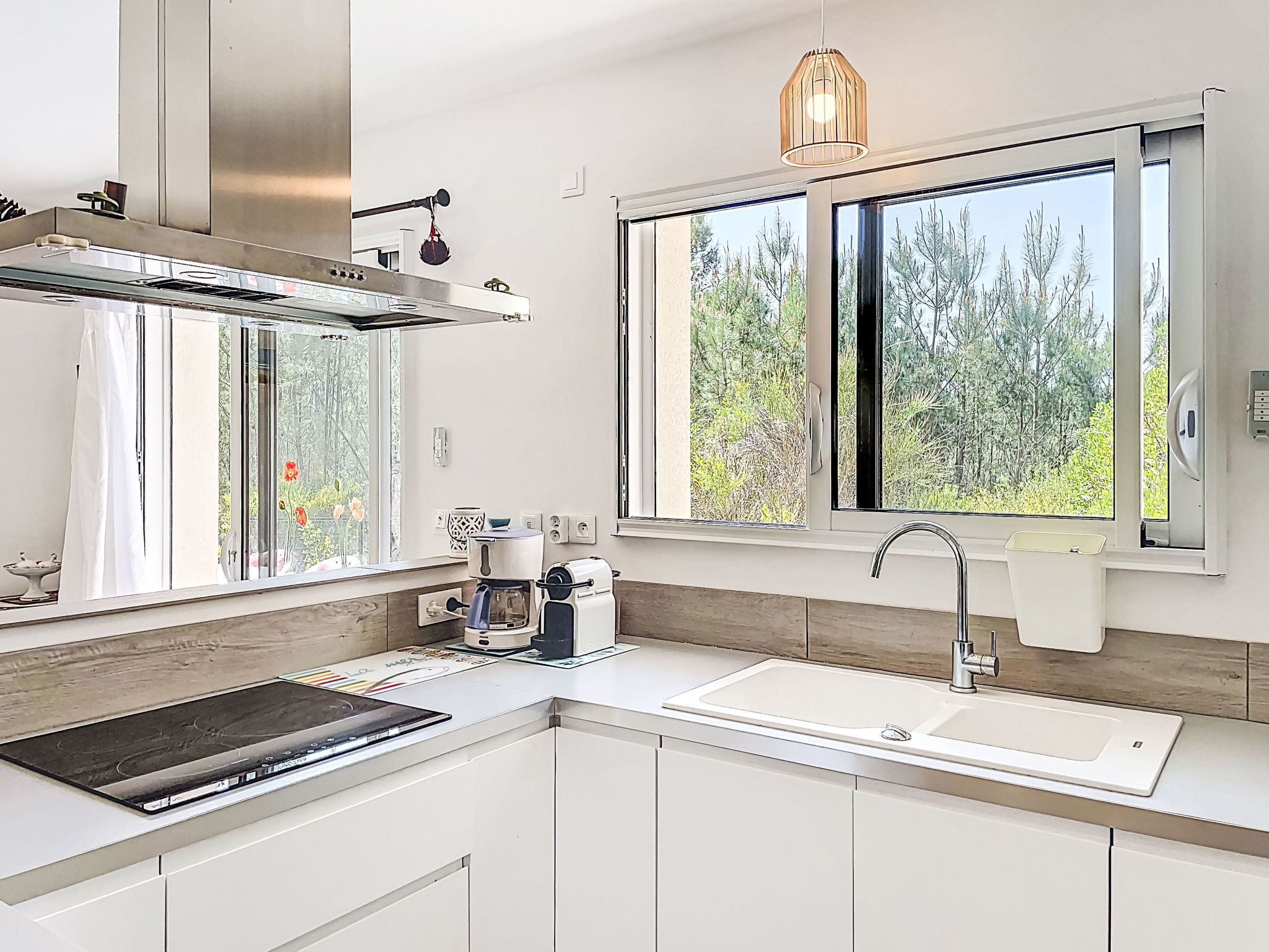 Hibiscus 10 - Drinnen