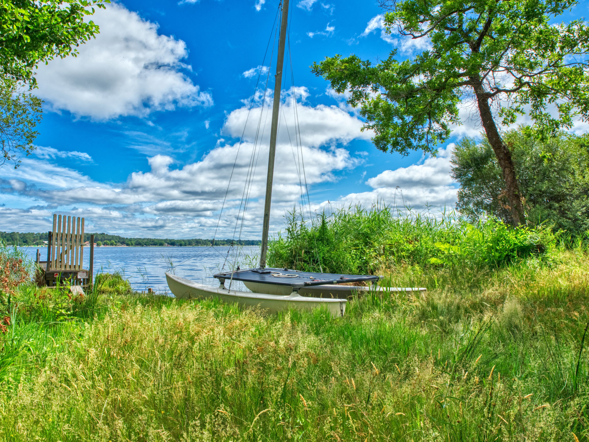 Hibiscus 10 - Umgebung