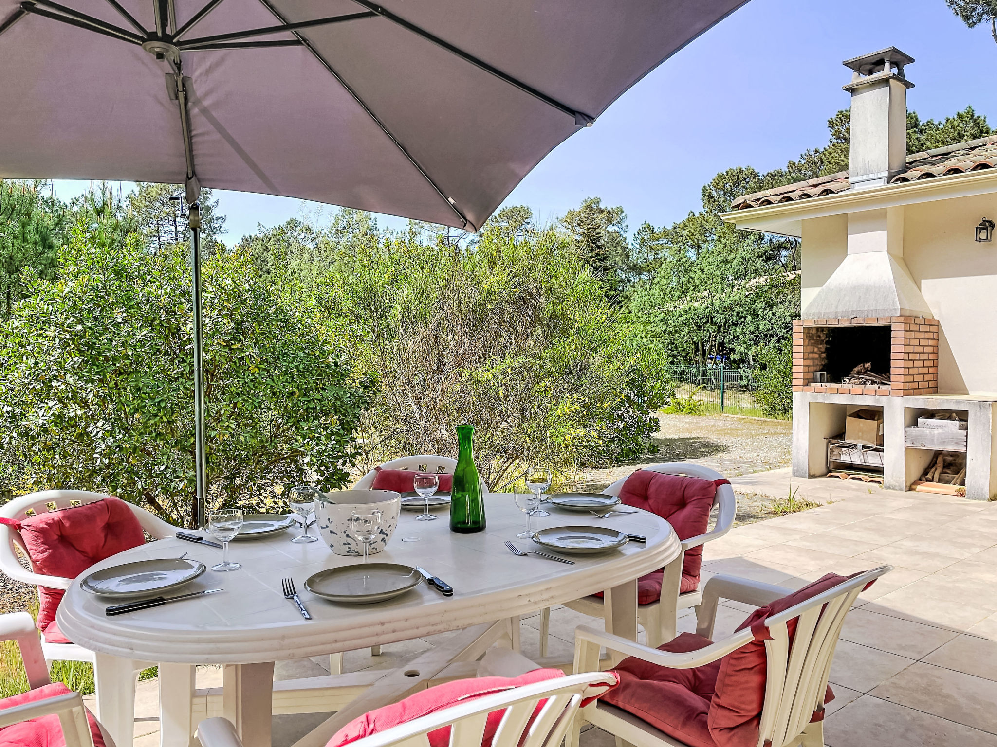 Hibiscus 10 - Draußen