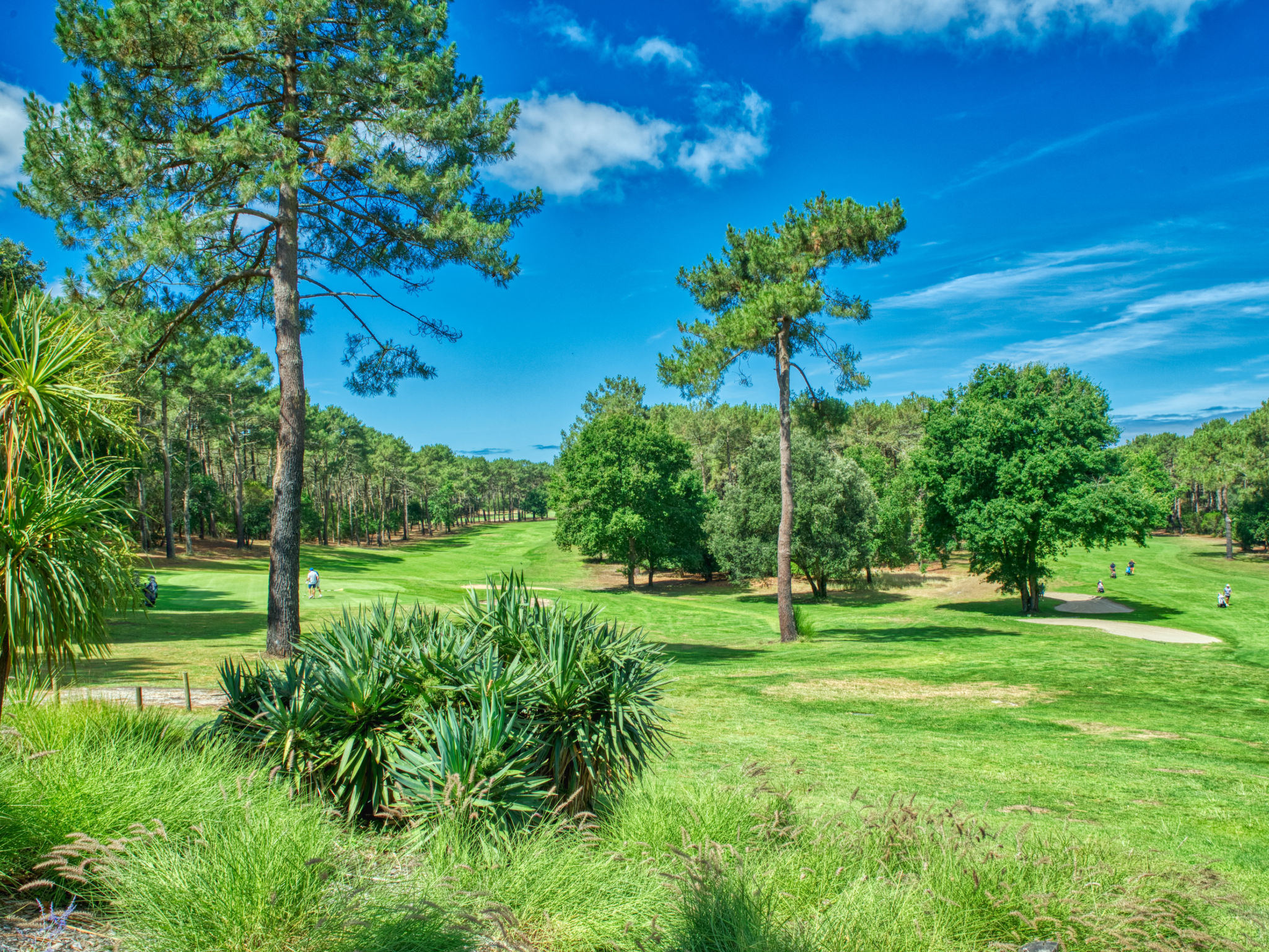 Hibiscus 10 - Umgebung