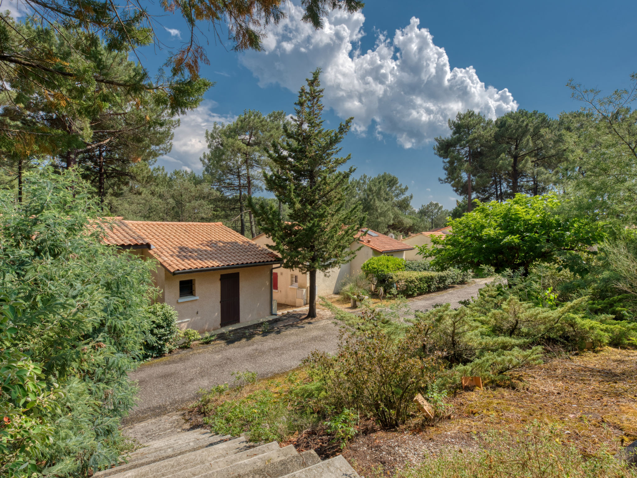 Photo of Les Cracks - Les As