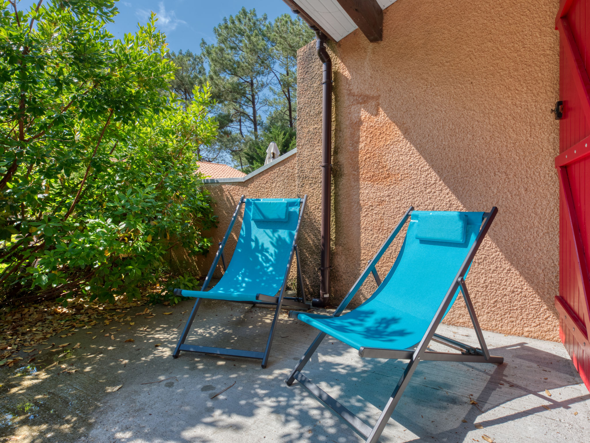 Photo of Les Cracks - Les As