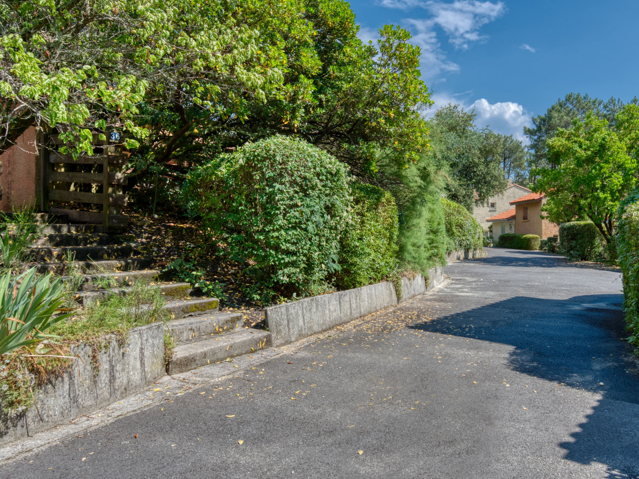 Photo of Les Cracks - Les As